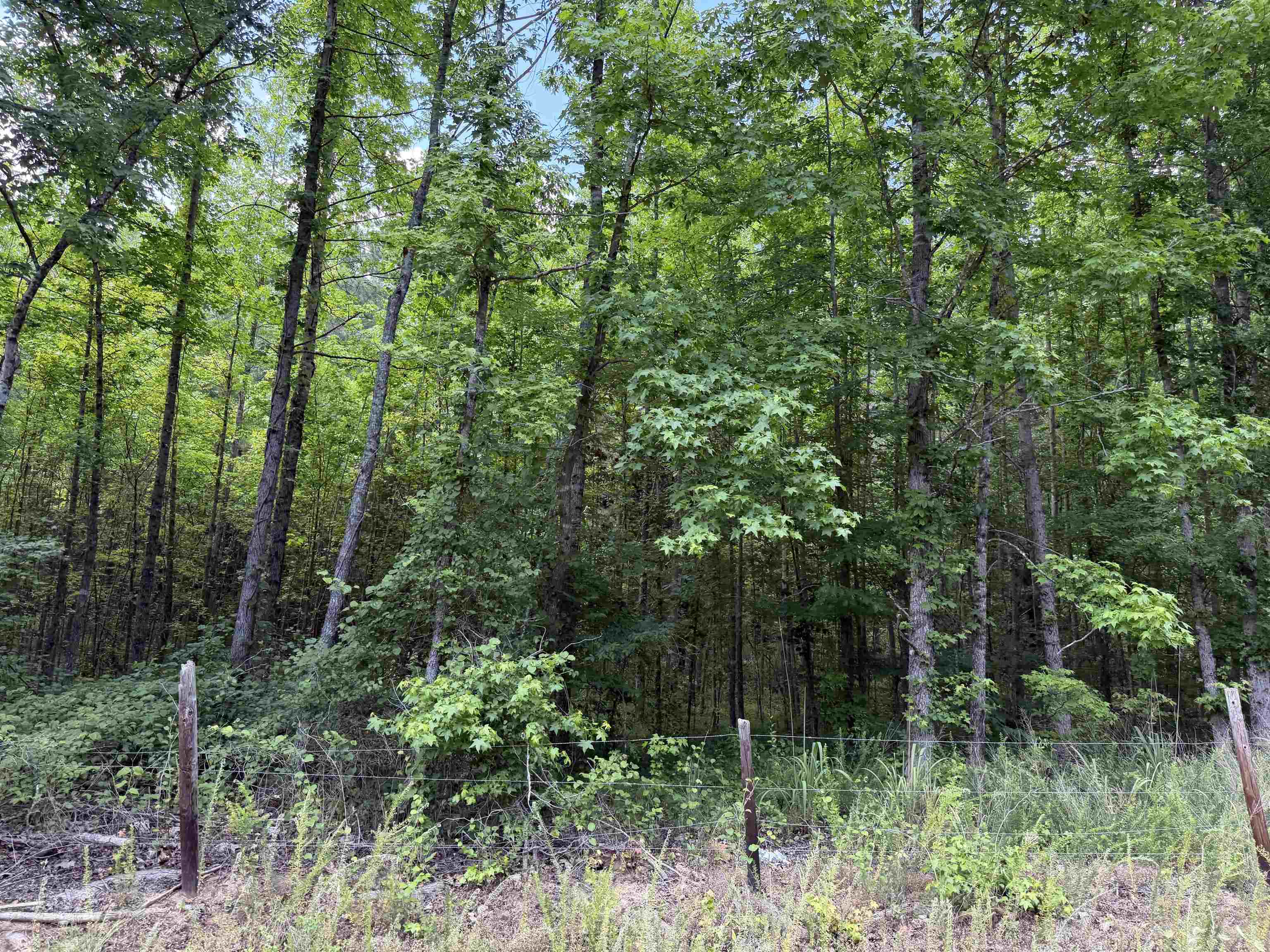 10 Rose Creek Rd Property Photo 7