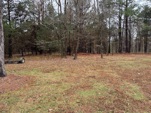120 Welcome Ussery Dr Property Photo 33