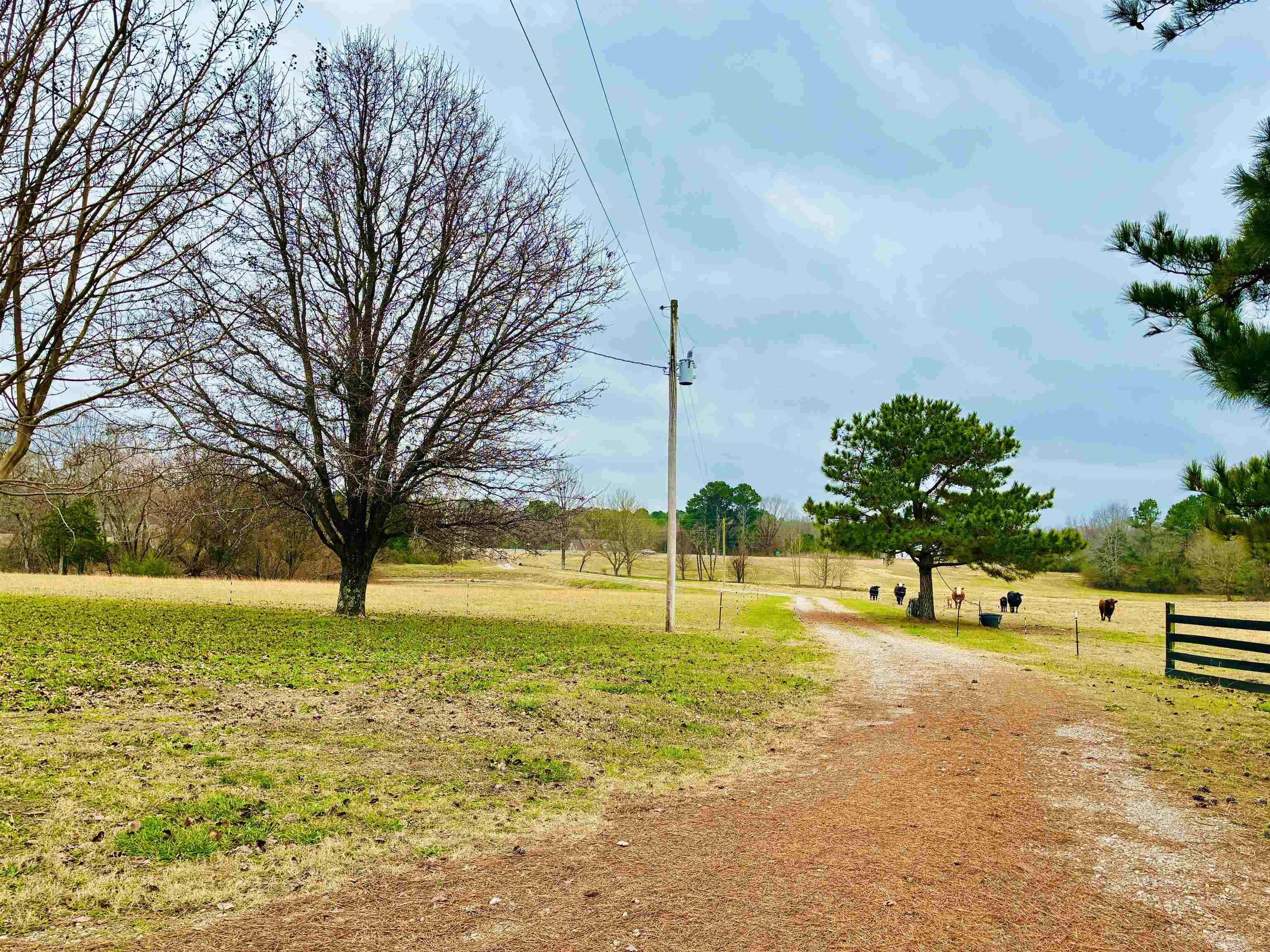 0 Highway 64 Hwy Property Photo 10