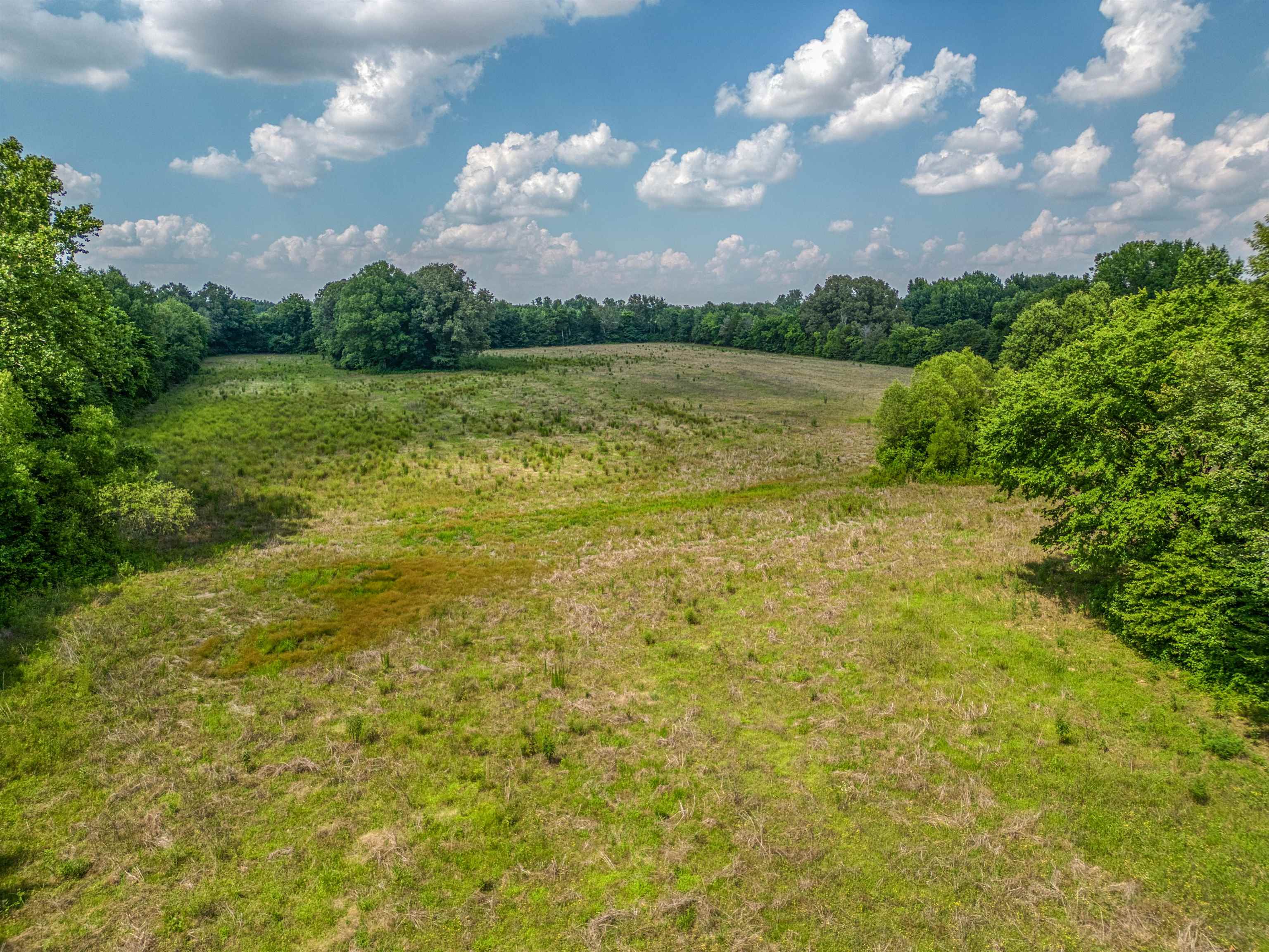 2630 Thorpe Dr Property Photo 8