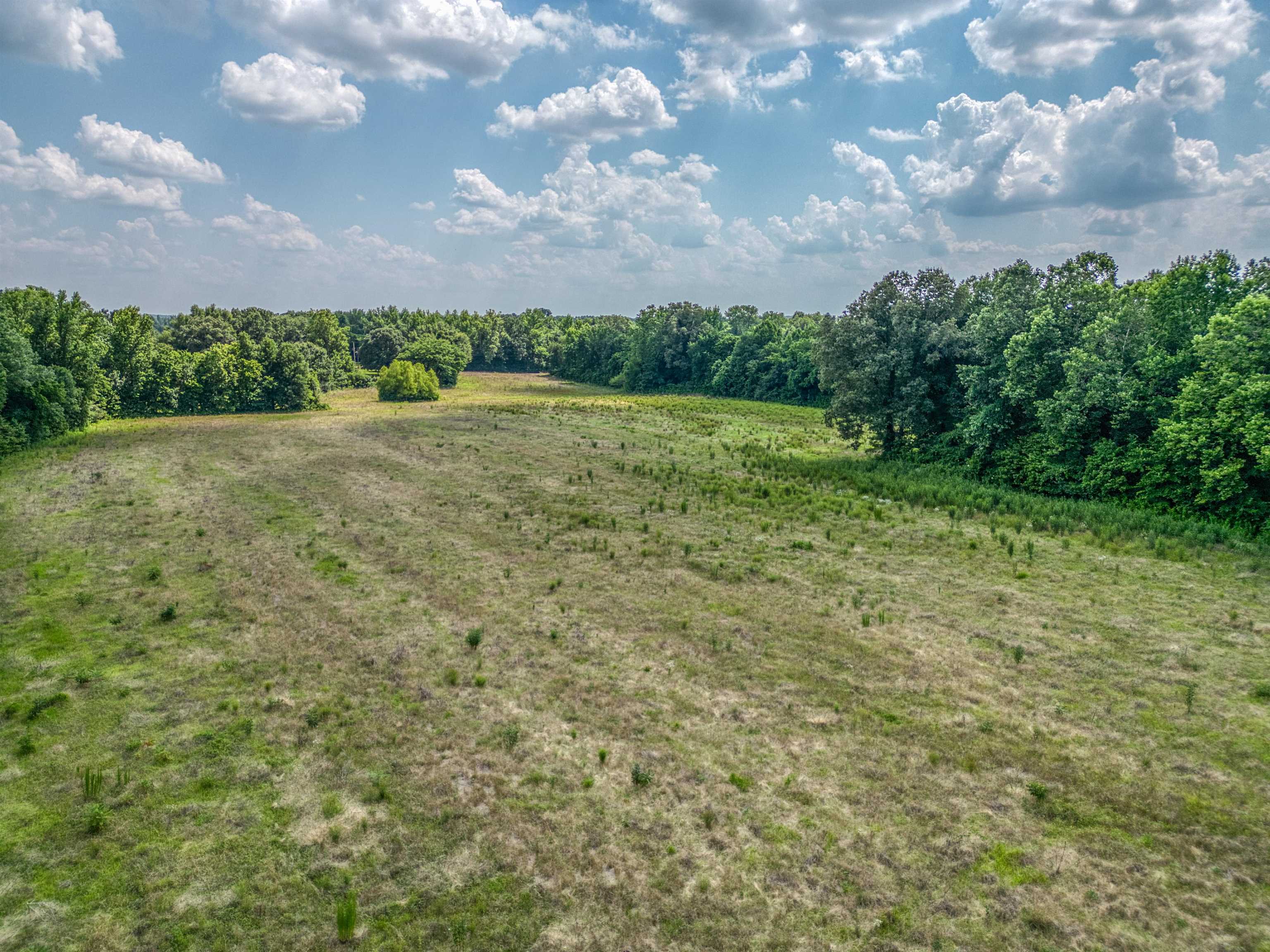 2630 Thorpe Dr Property Photo 9