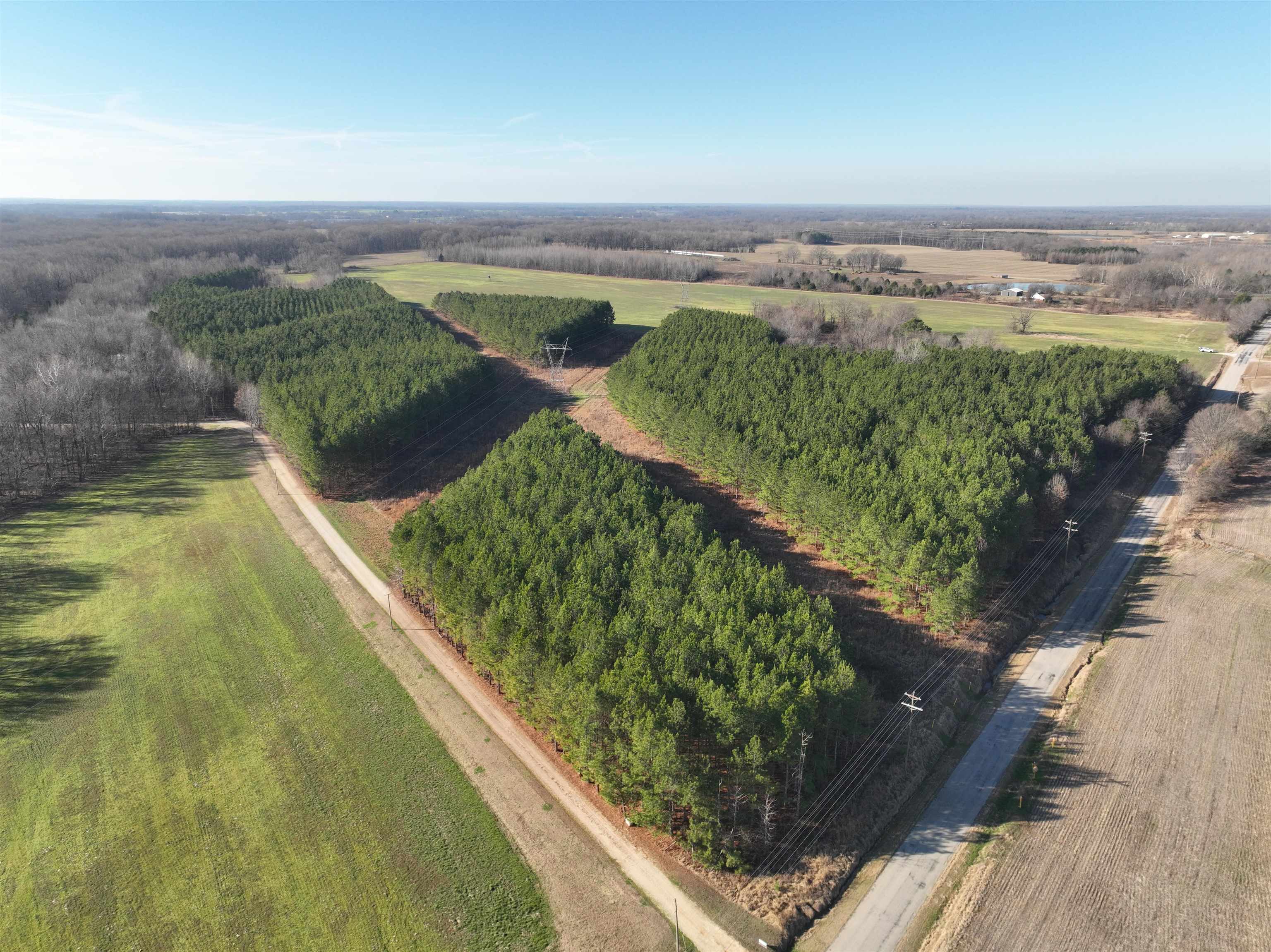 2260 Hall Rd Property Photo 6