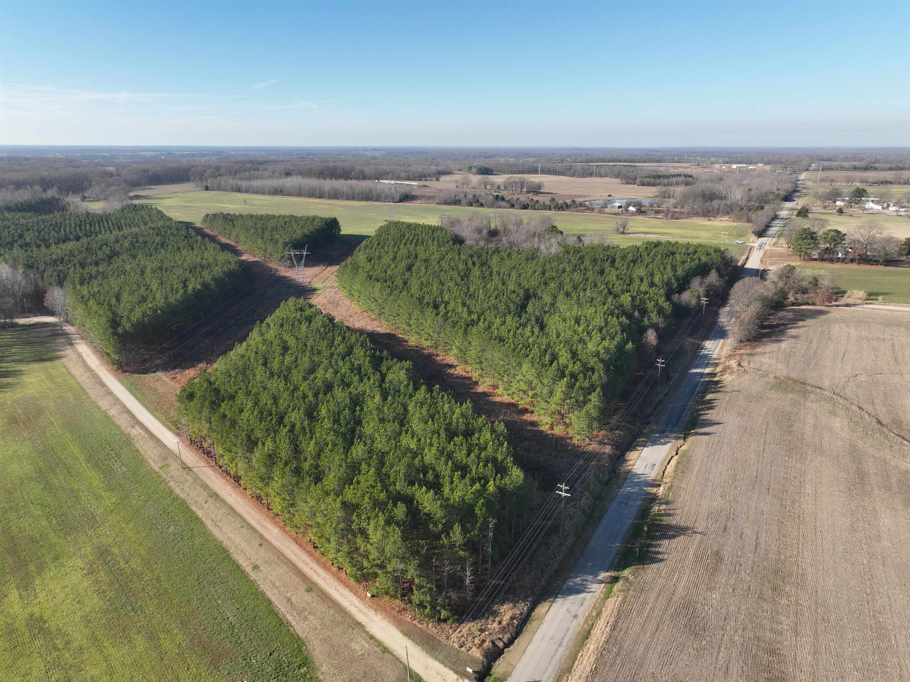 2260 Hall Rd Property Photo 15
