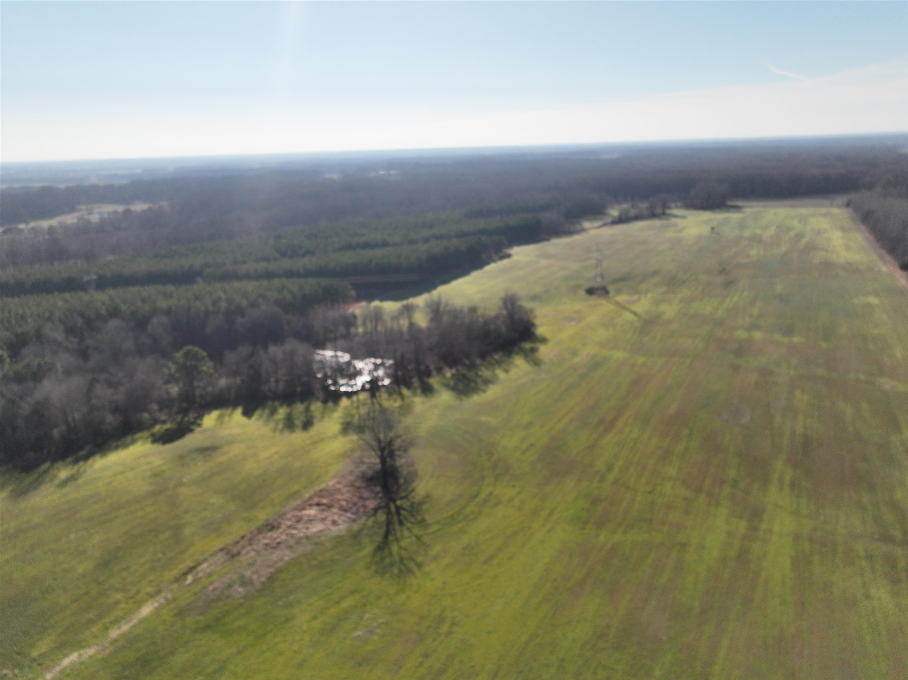2260 Hall Rd Property Photo 16