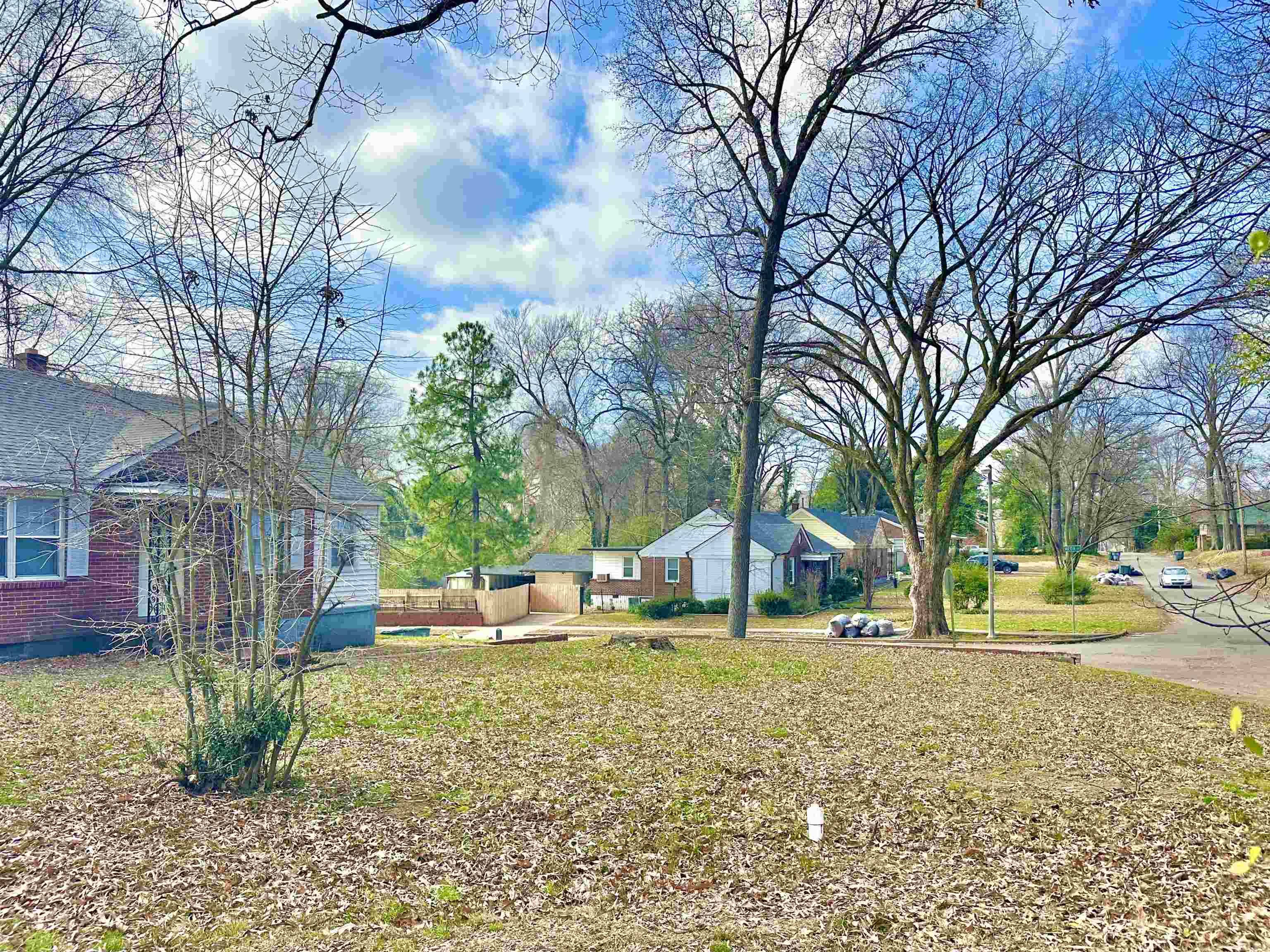 2195 Carnes Ave Property Photo 30