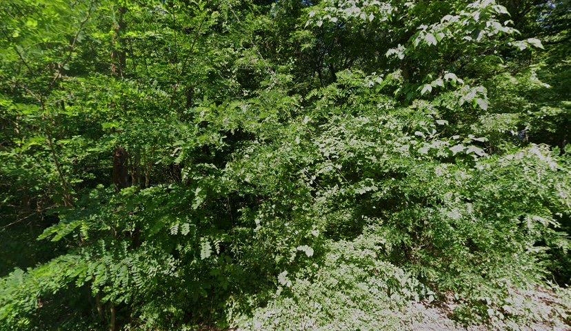 1740 W Dodd Rd Property Photo 1
