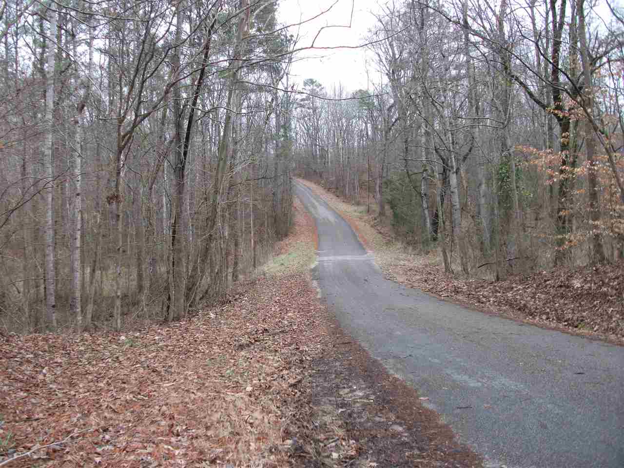 Lot 20 Rainbow Ln Property Photo 3