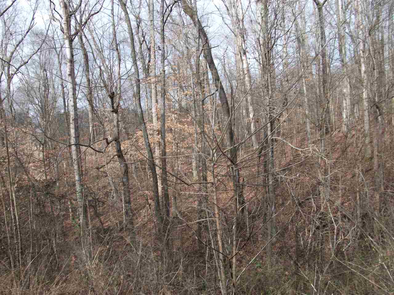 Lot 20 Rainbow Ln Property Photo 6