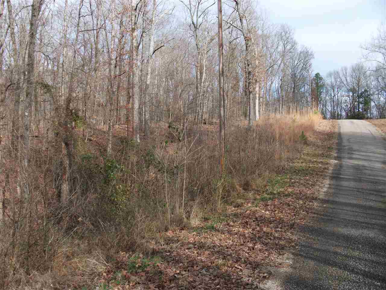 Lot 20 Rainbow Ln Property Photo 8