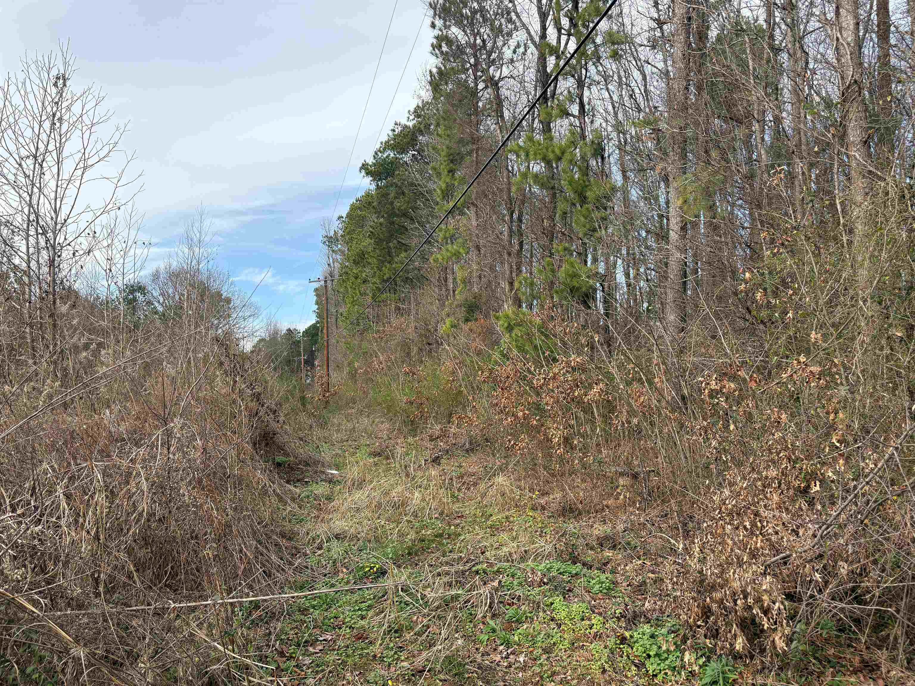 1374 W Holmes Rd Property Photo 3