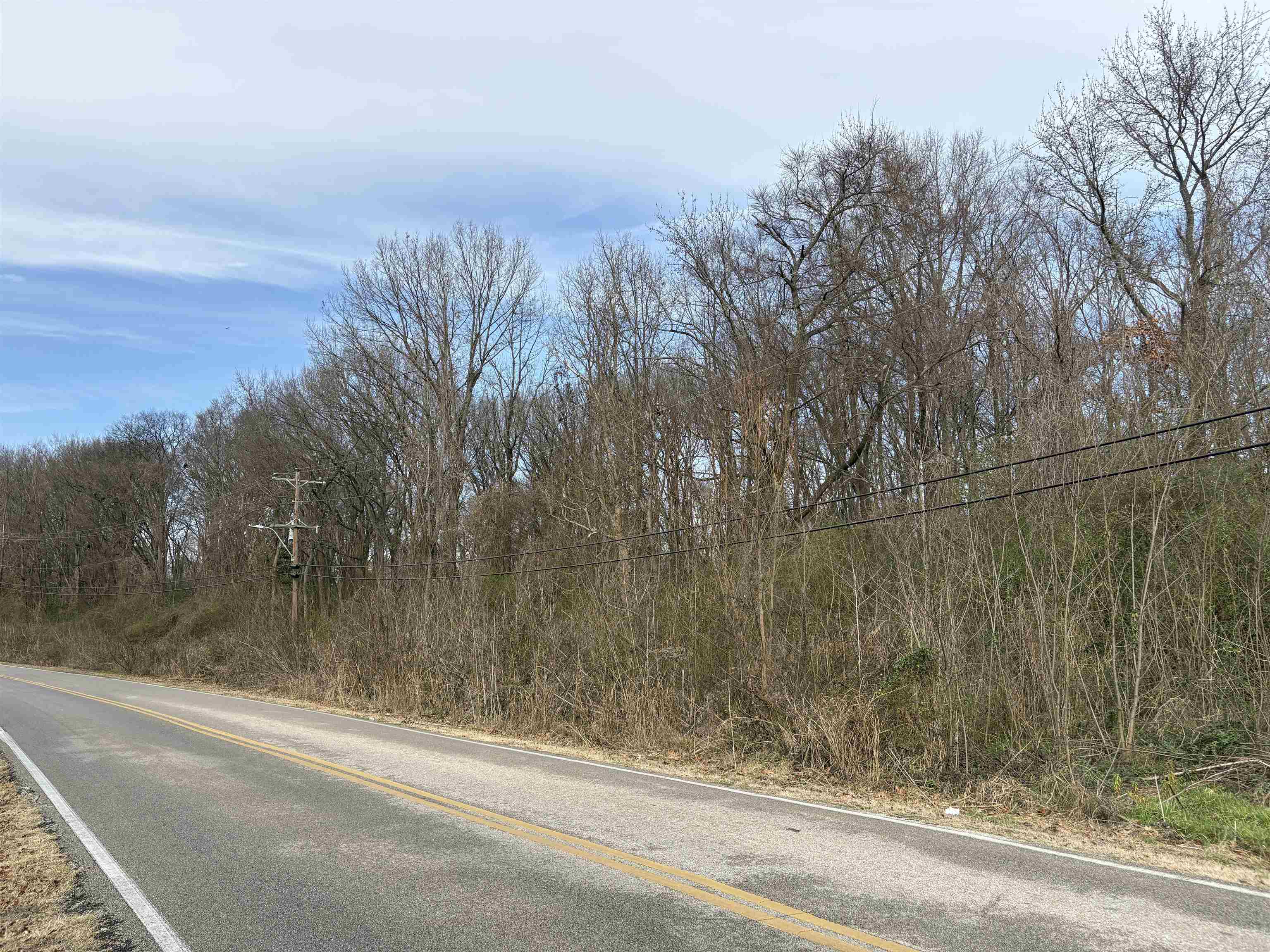 1374 W Holmes Rd Property Photo 4