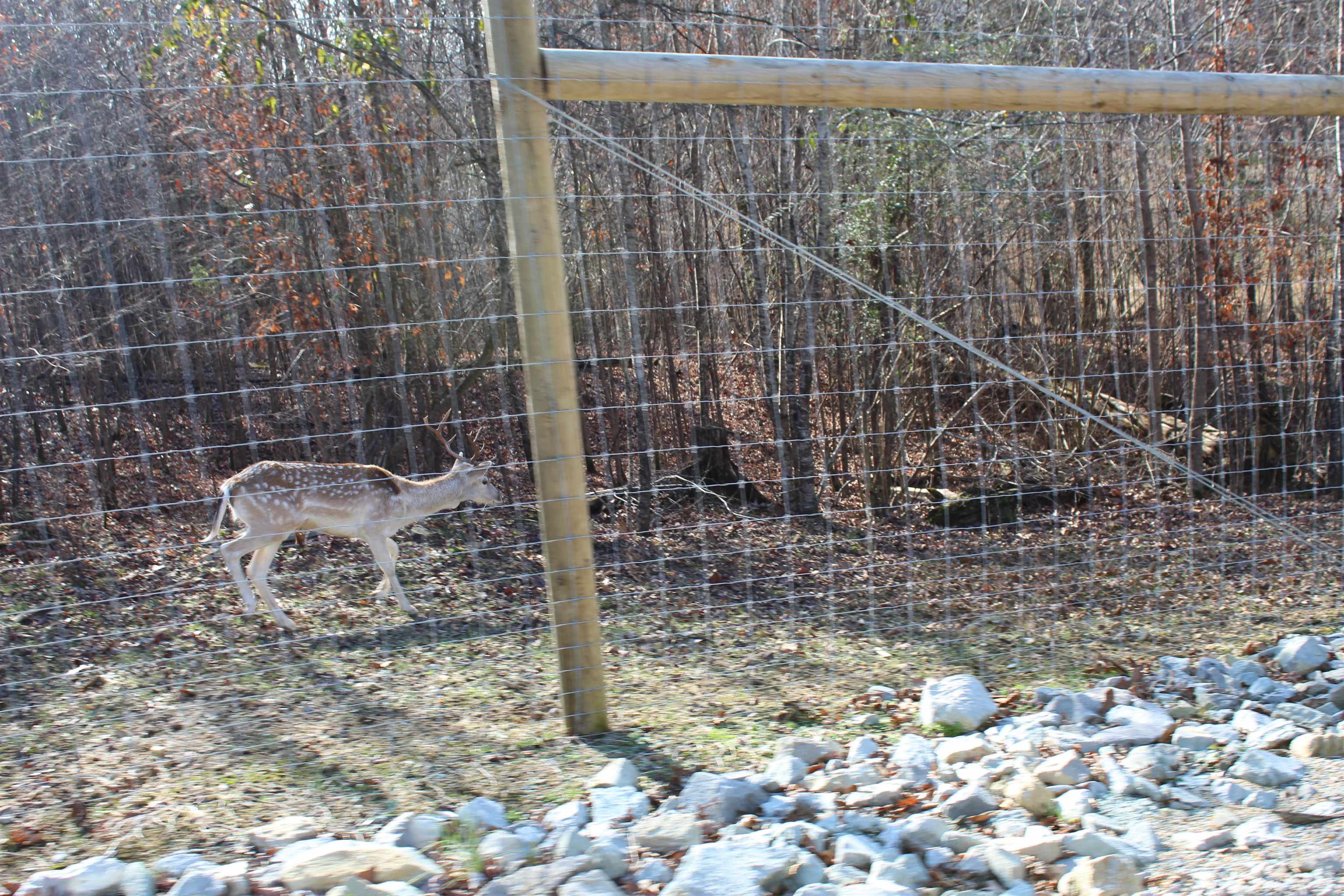 1275 Nance Bend Rd Property Photo 4