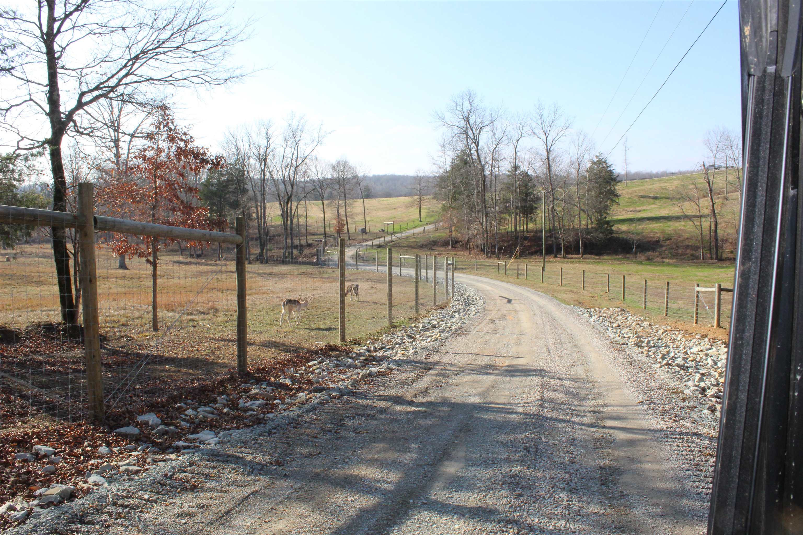 1275 Nance Bend Rd Property Photo 5