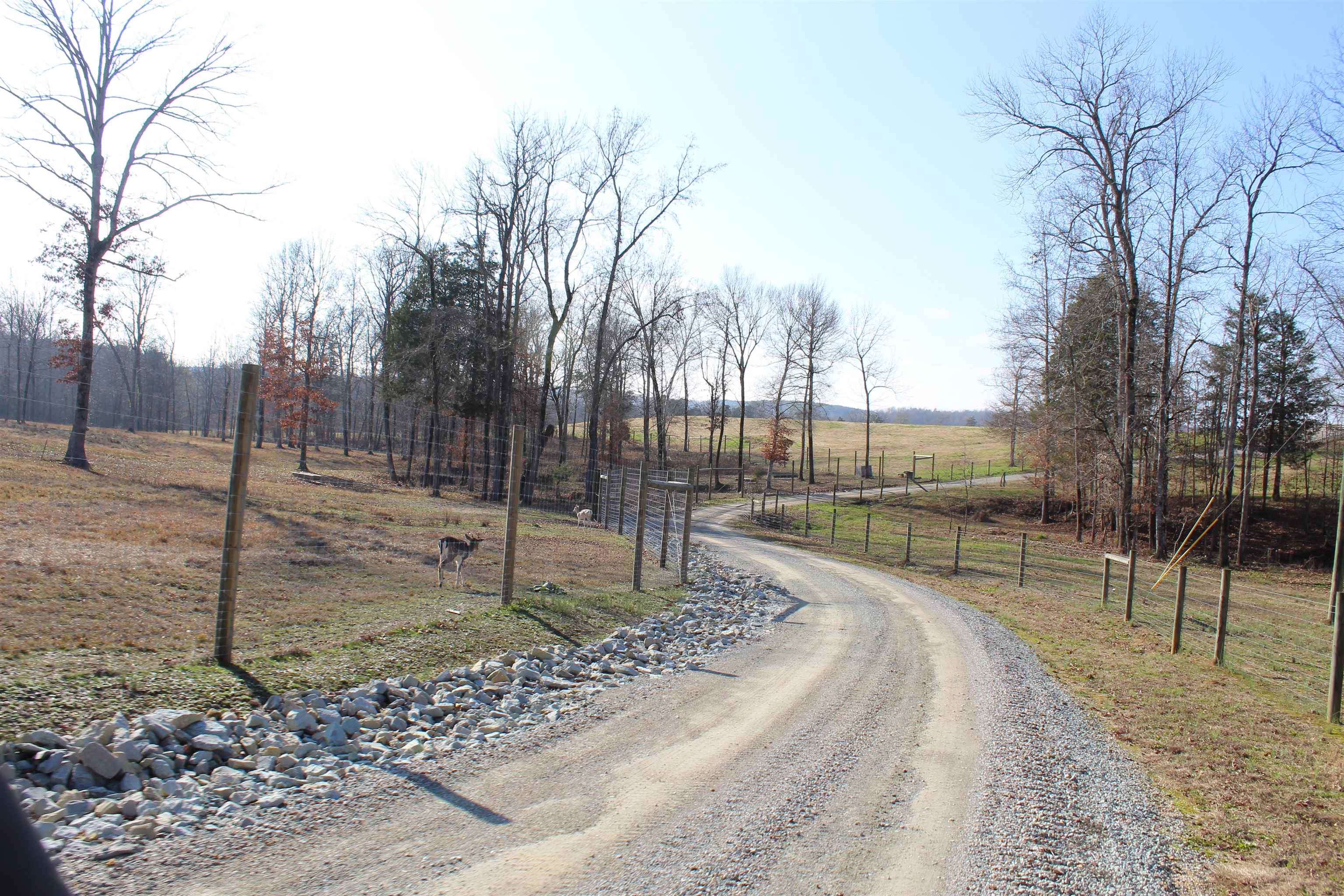 1275 Nance Bend Rd Property Photo 9