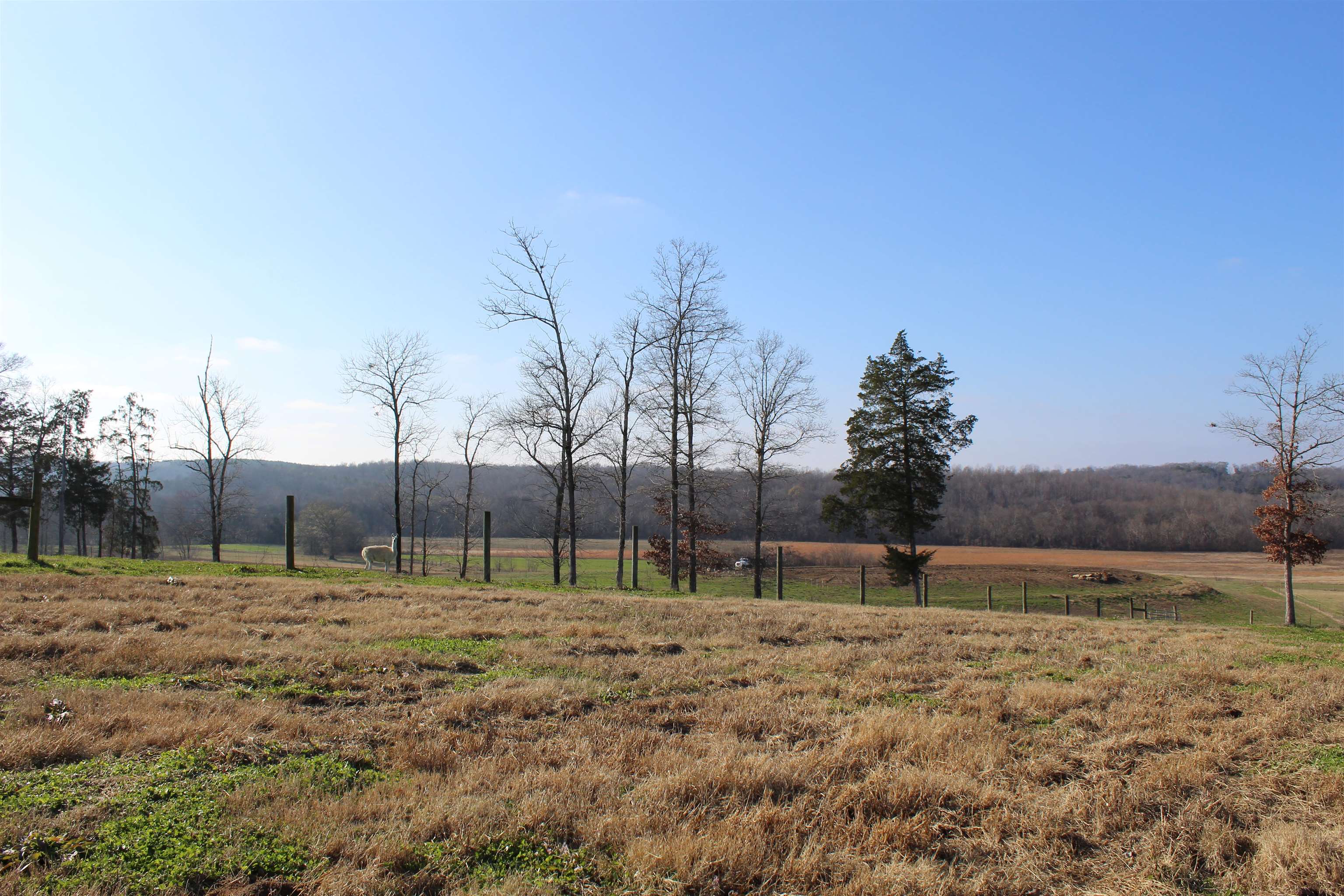 1275 Nance Bend Rd Property Photo 13