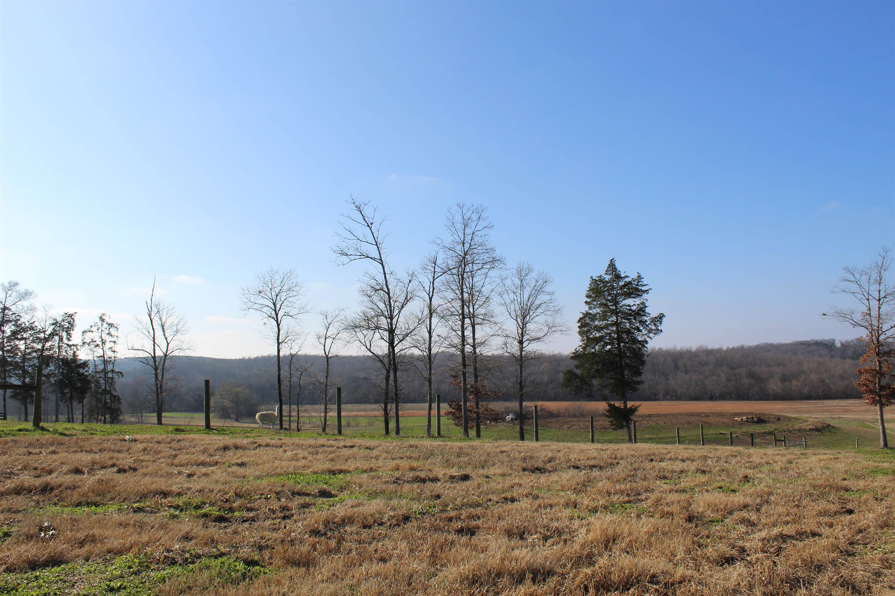 1275 Nance Bend Rd Property Photo 14