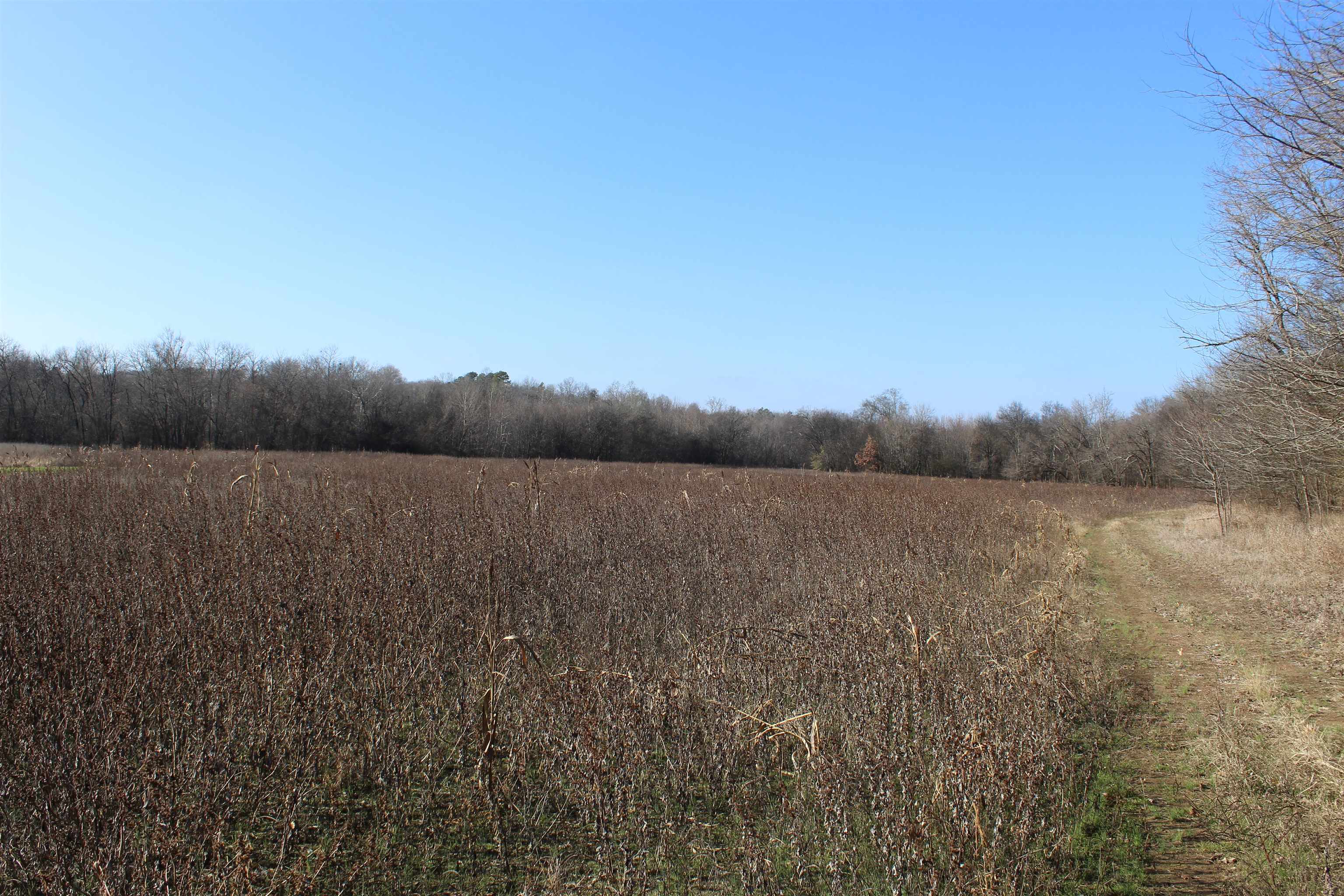 1275 Nance Bend Rd Property Photo 22