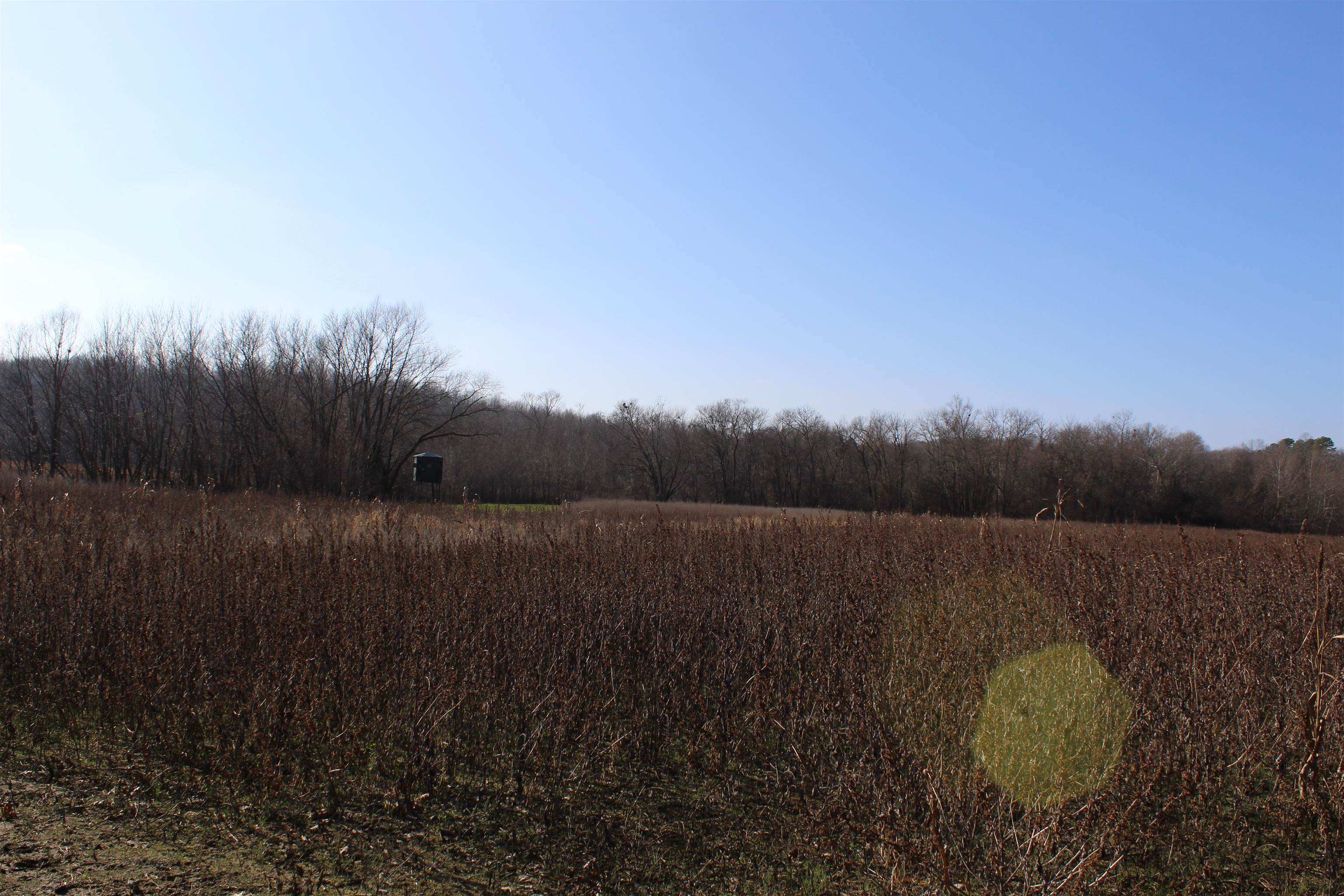 1275 Nance Bend Rd Property Photo 23