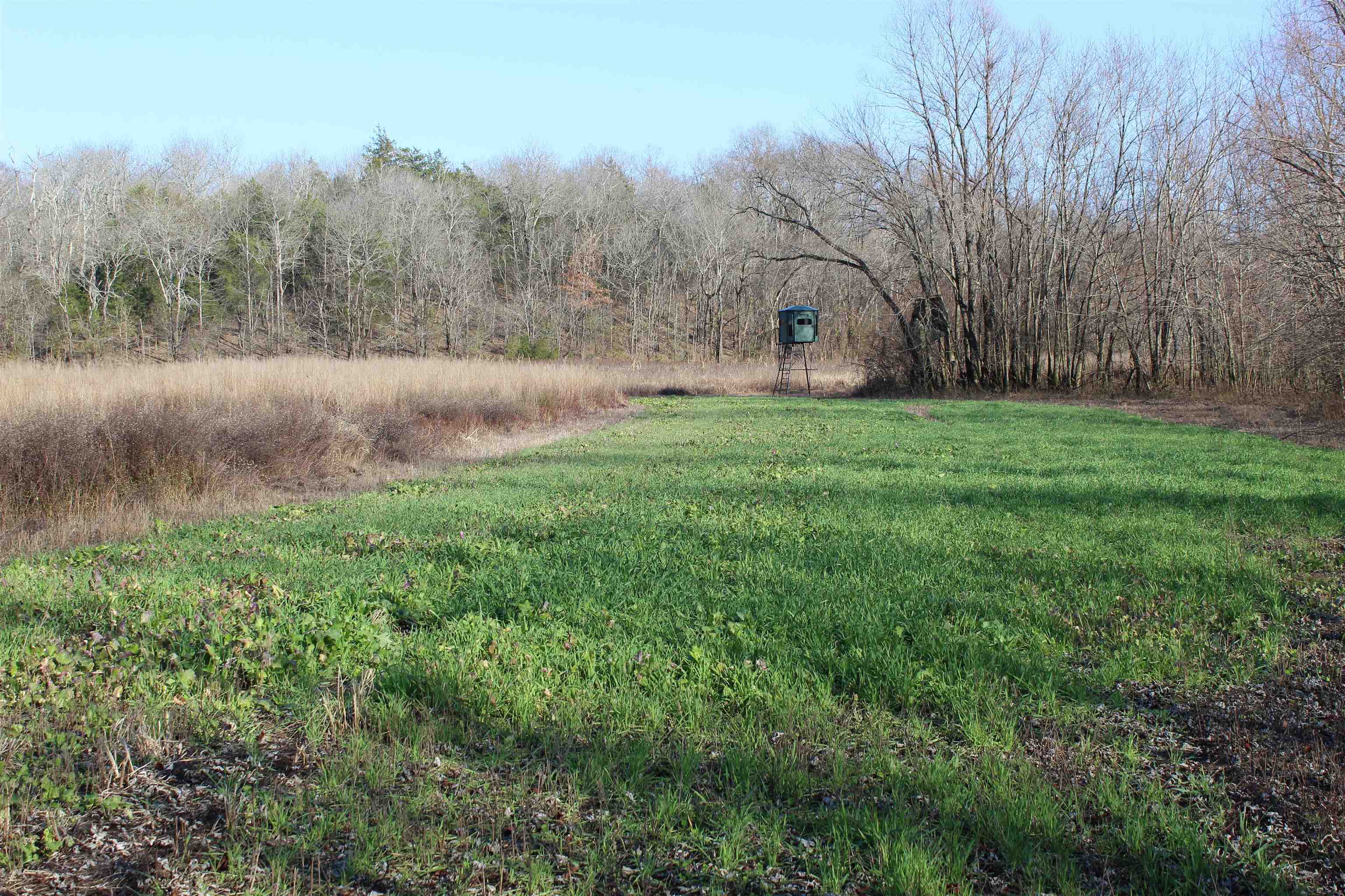 1275 Nance Bend Rd Property Photo 26