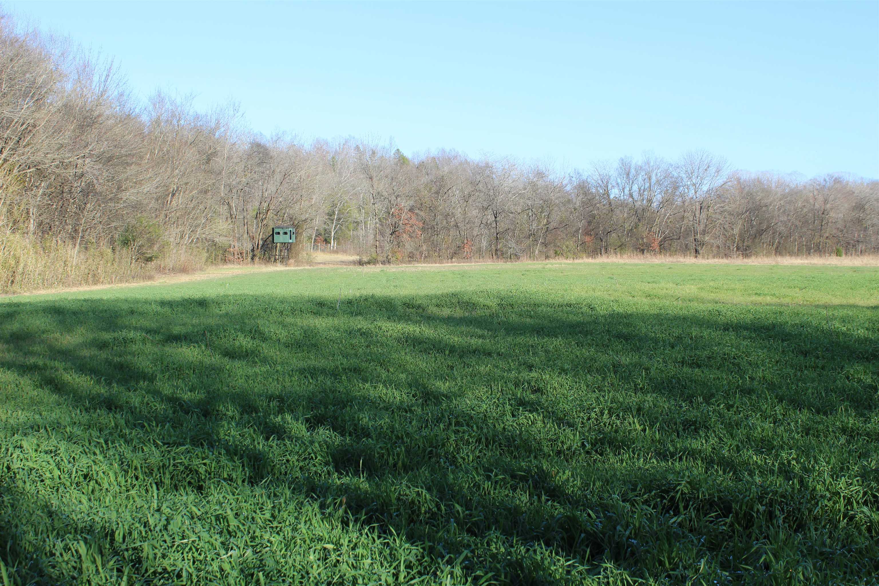 1275 Nance Bend Rd Property Photo 32