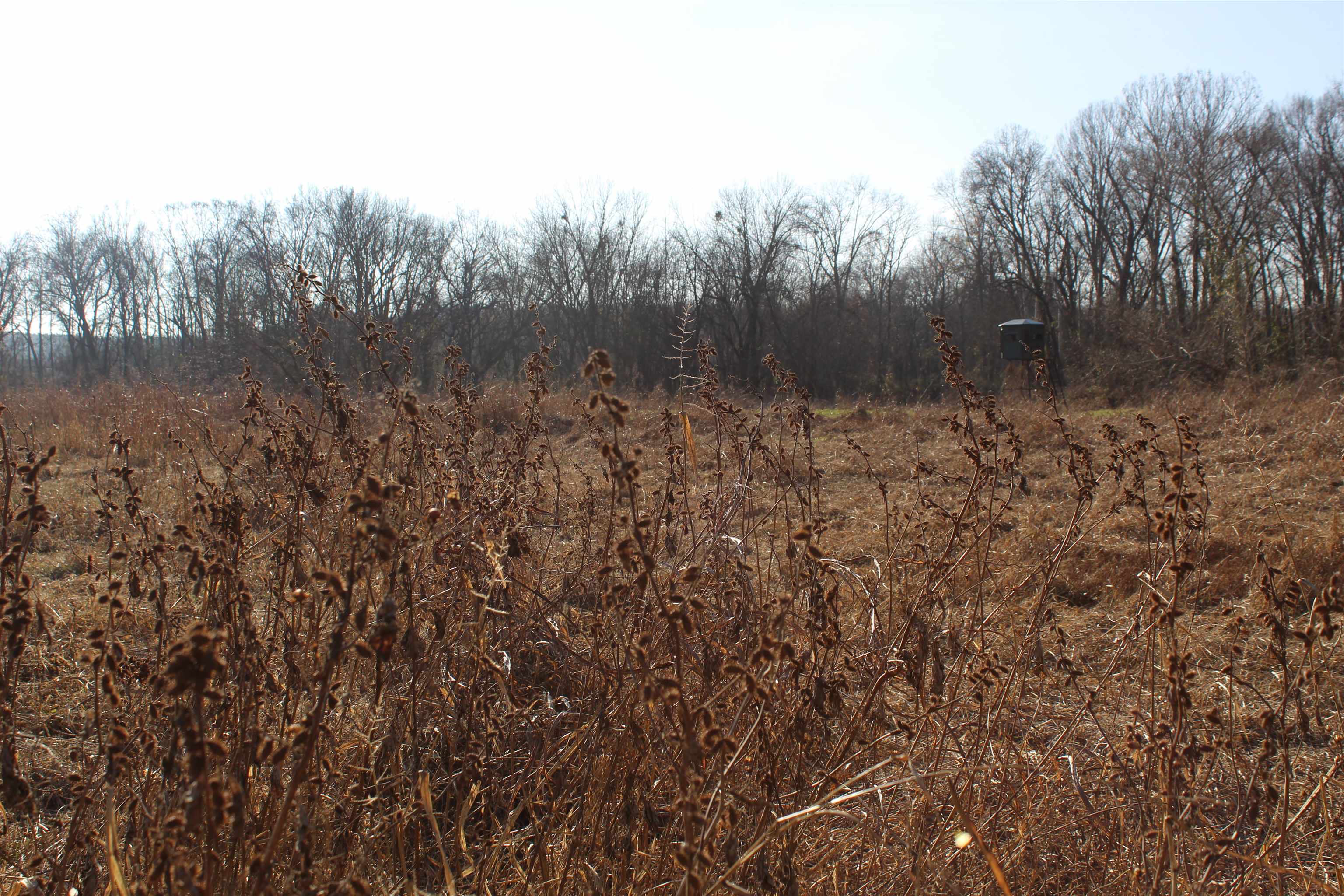 1275 Nance Bend Rd Property Photo 34