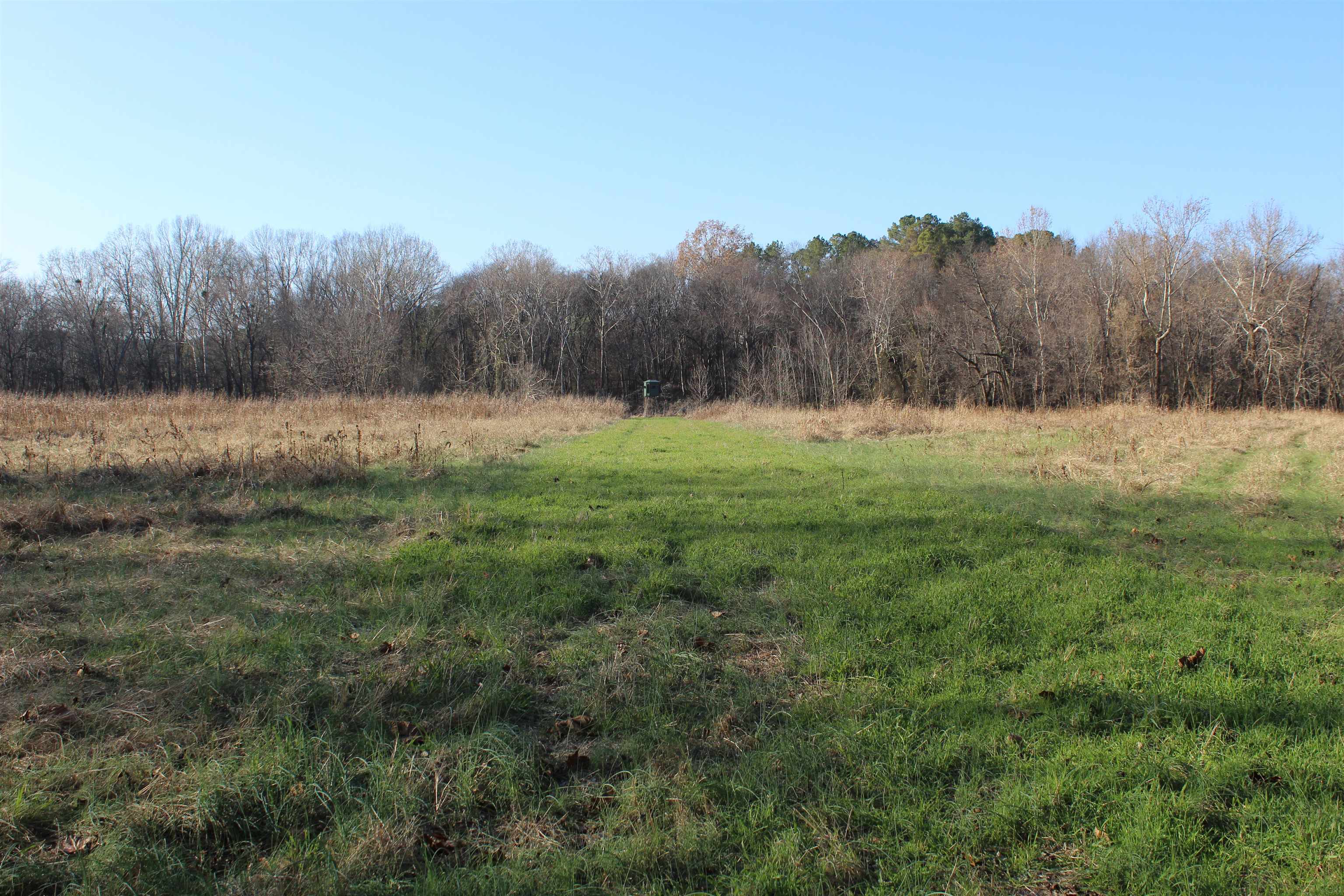 1275 Nance Bend Rd Property Photo 35