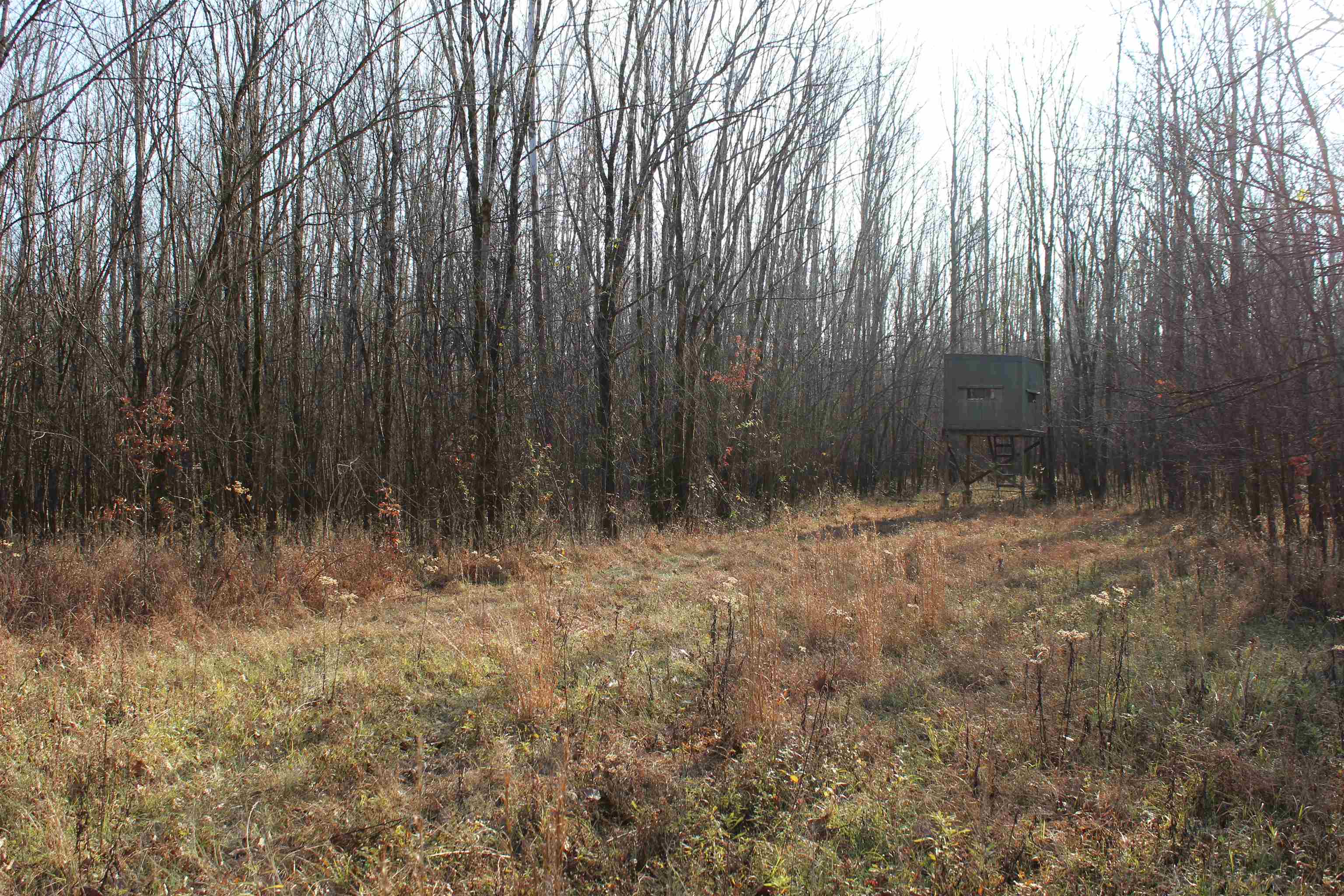 1275 Nance Bend Rd Property Photo 36