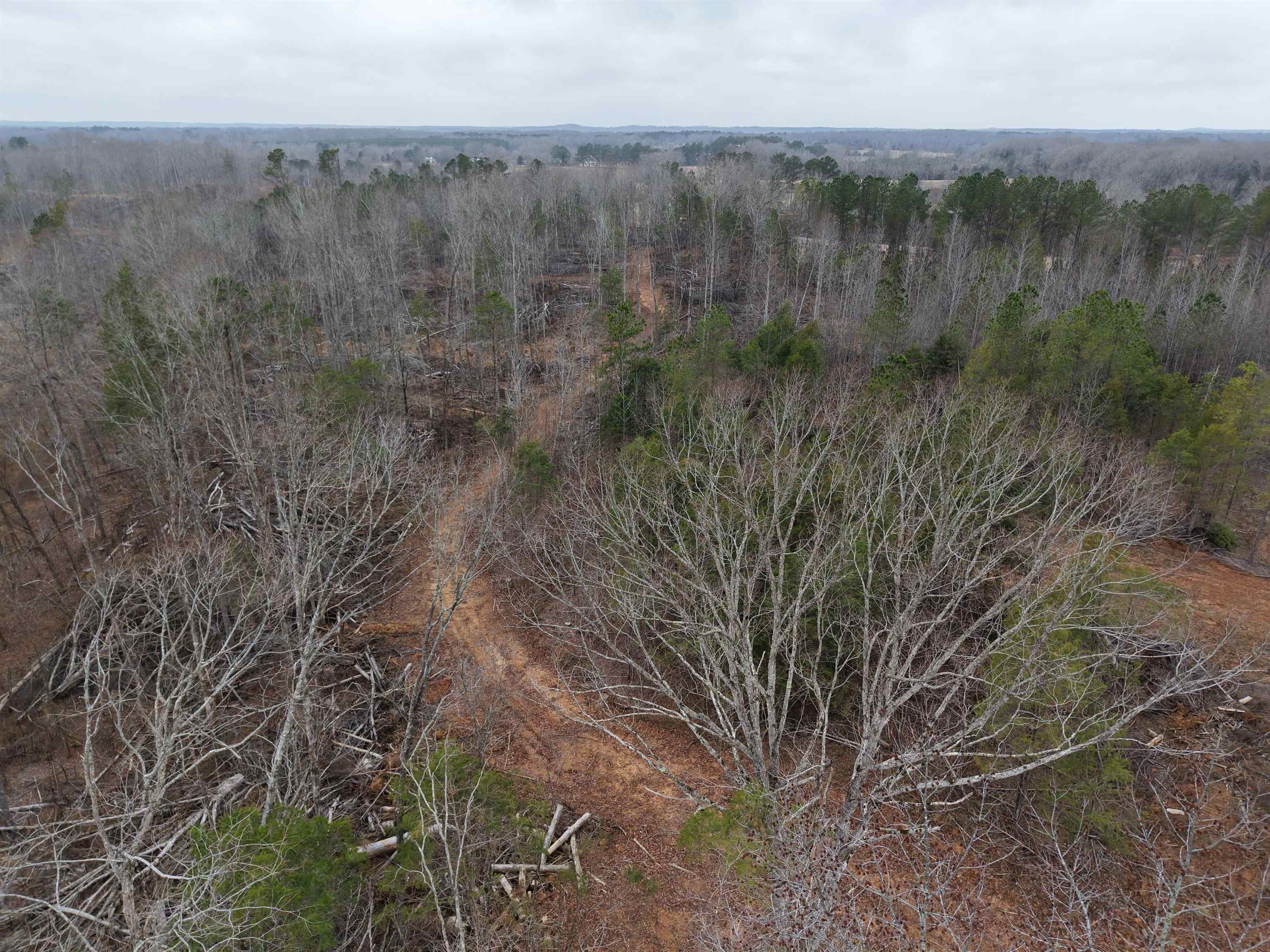000 Spring Hill Cemetery Rd Rd Property Photo 1