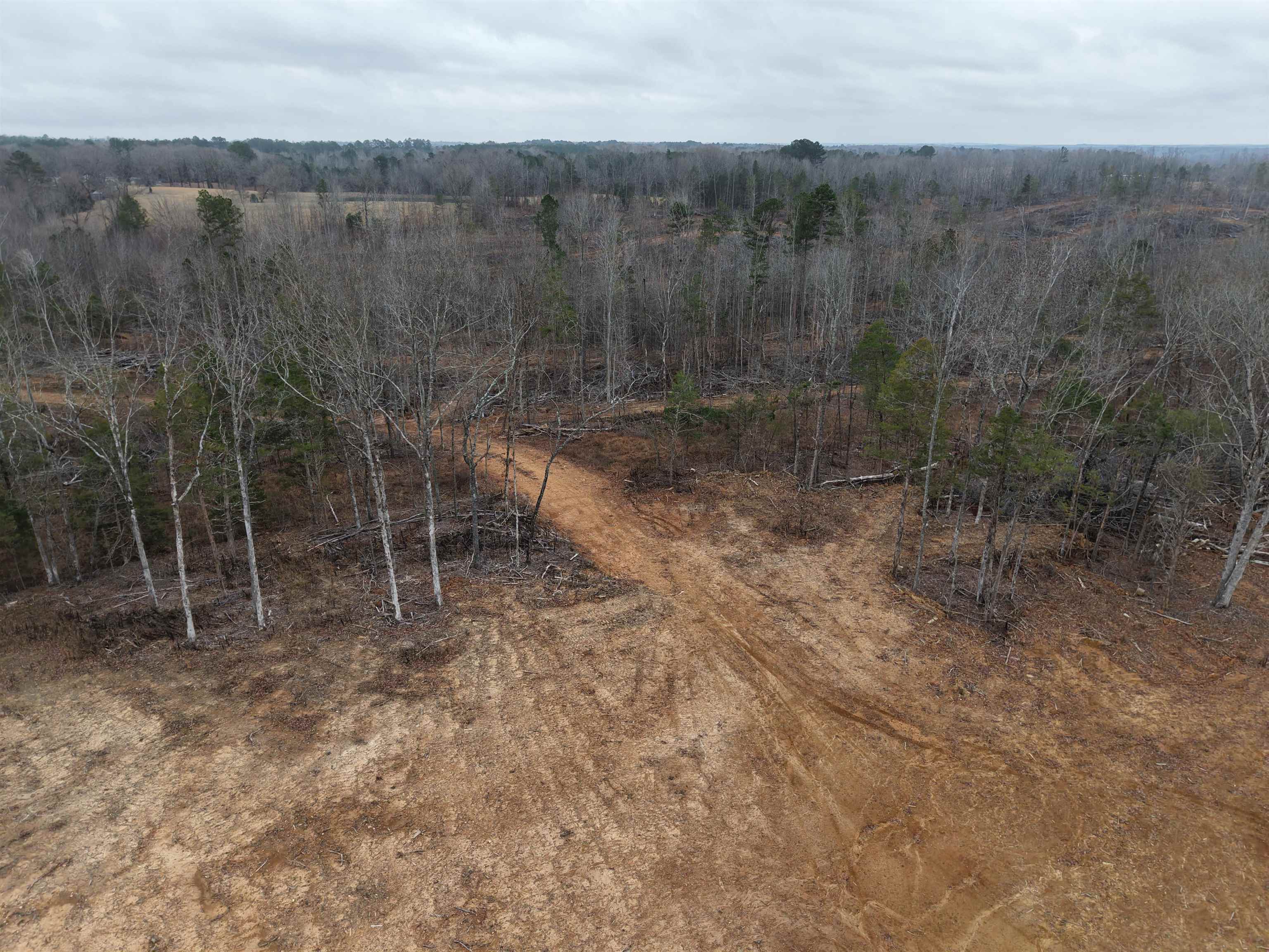 000 Spring Hill Cemetery Rd Rd Property Photo 2