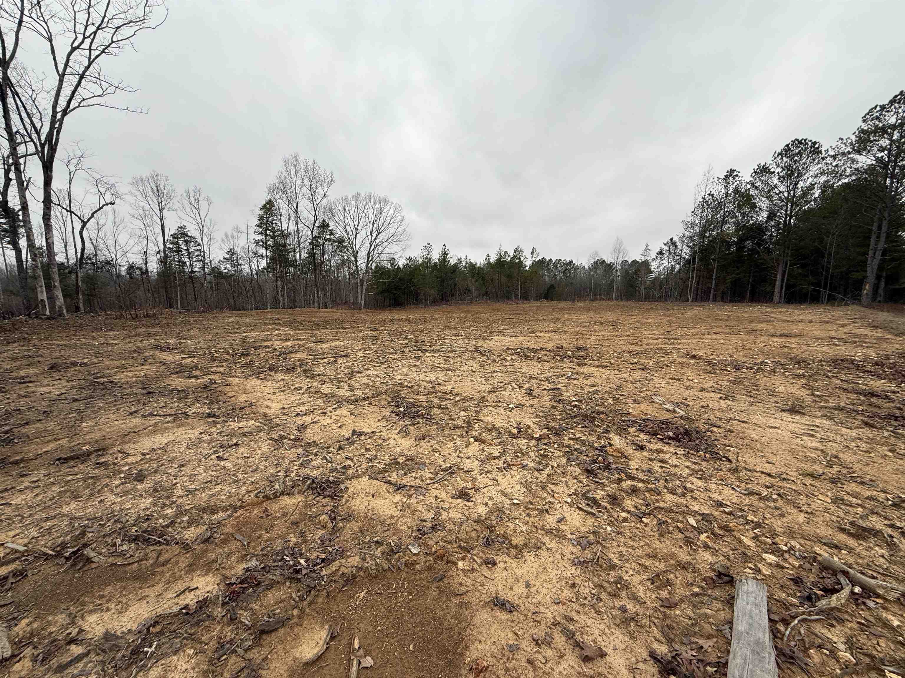 000 Spring Hill Cemetery Rd Rd Property Photo 3