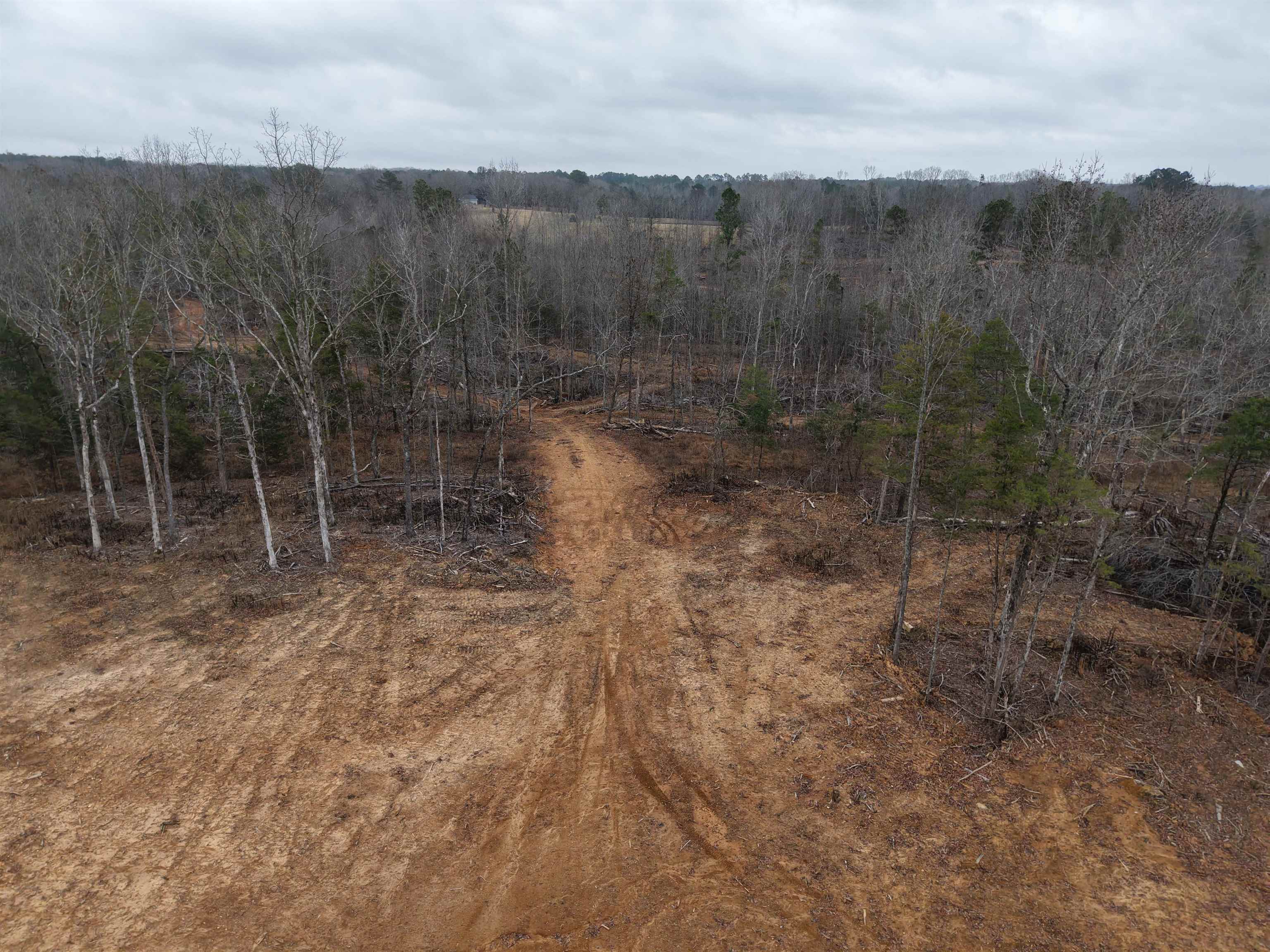 000 Spring Hill Cemetery Rd Rd Property Photo 11