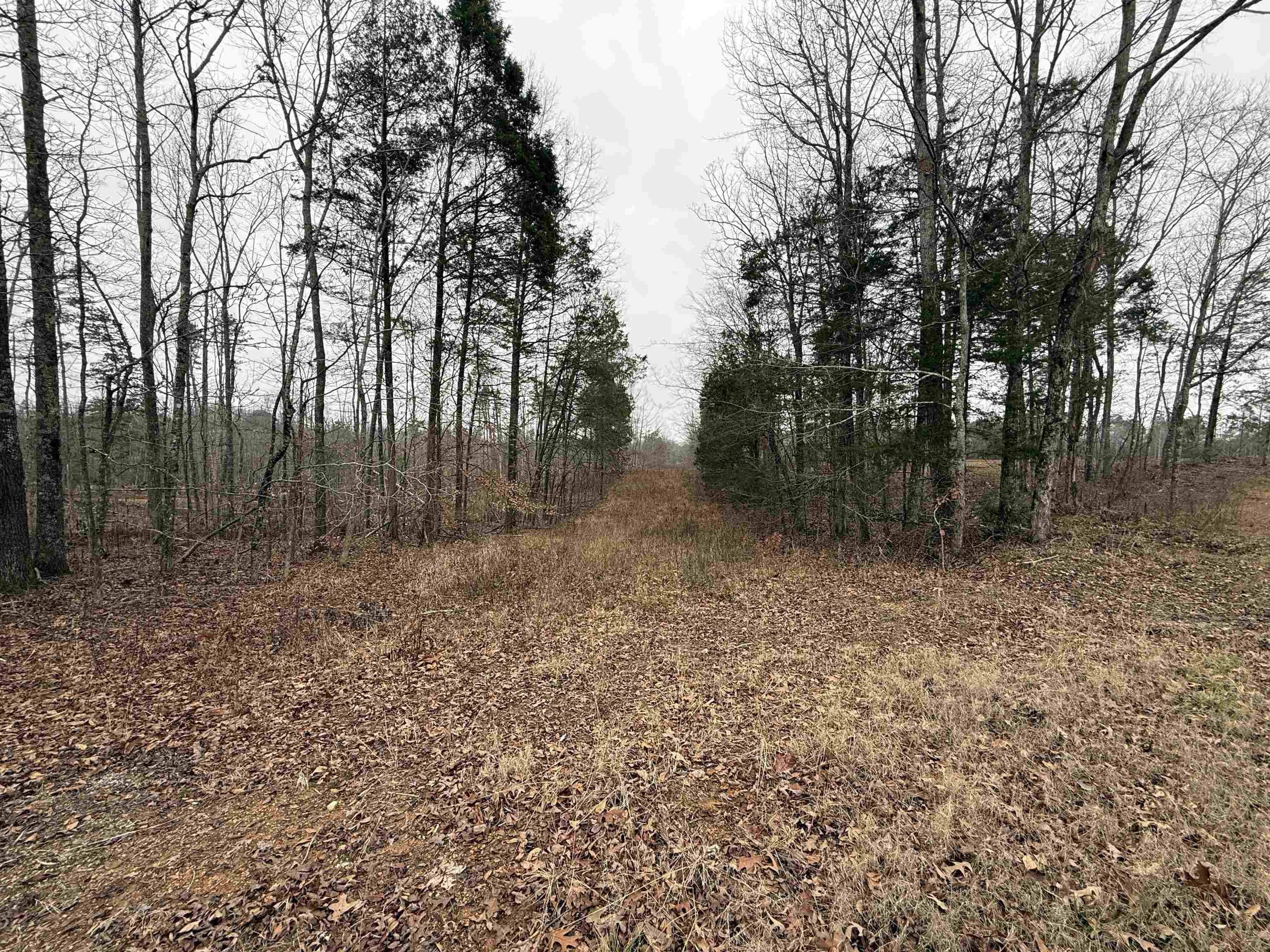 000 Spring Hill Cemetery Rd Rd Property Photo 12