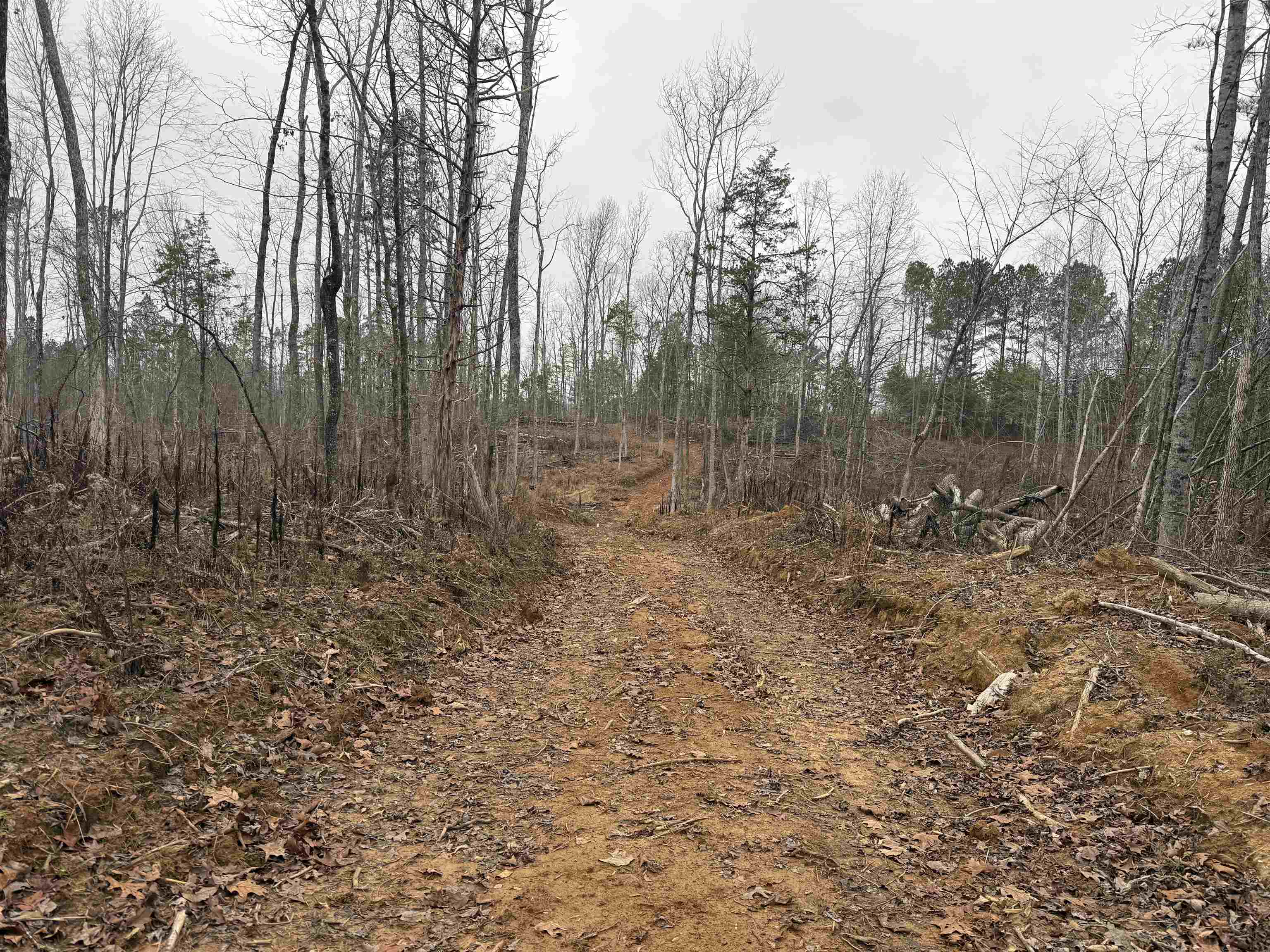 000 Spring Hill Cemetery Rd Rd Property Photo 13