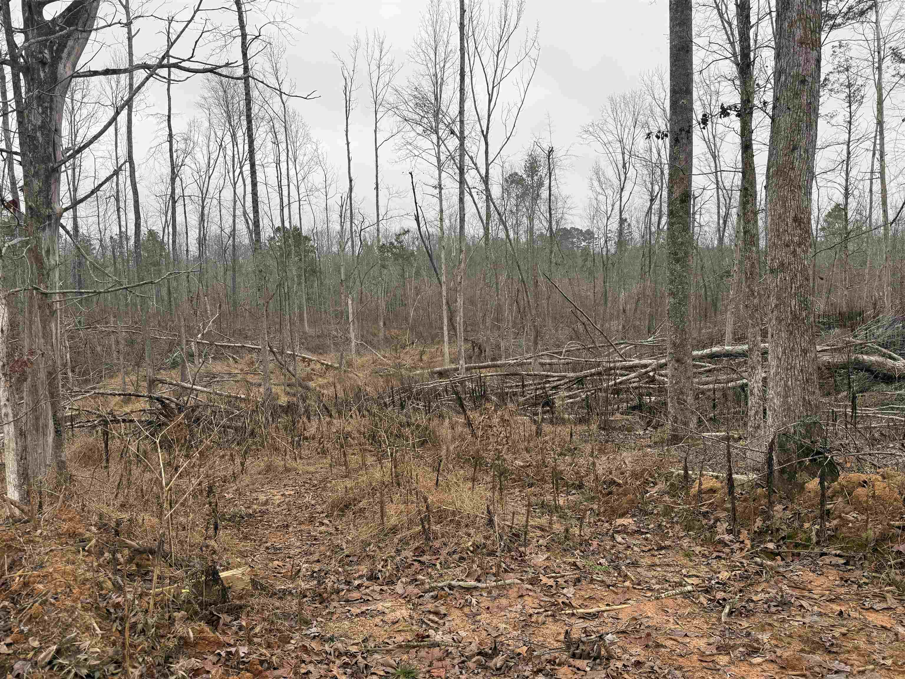 000 Spring Hill Cemetery Rd Rd Property Photo 14