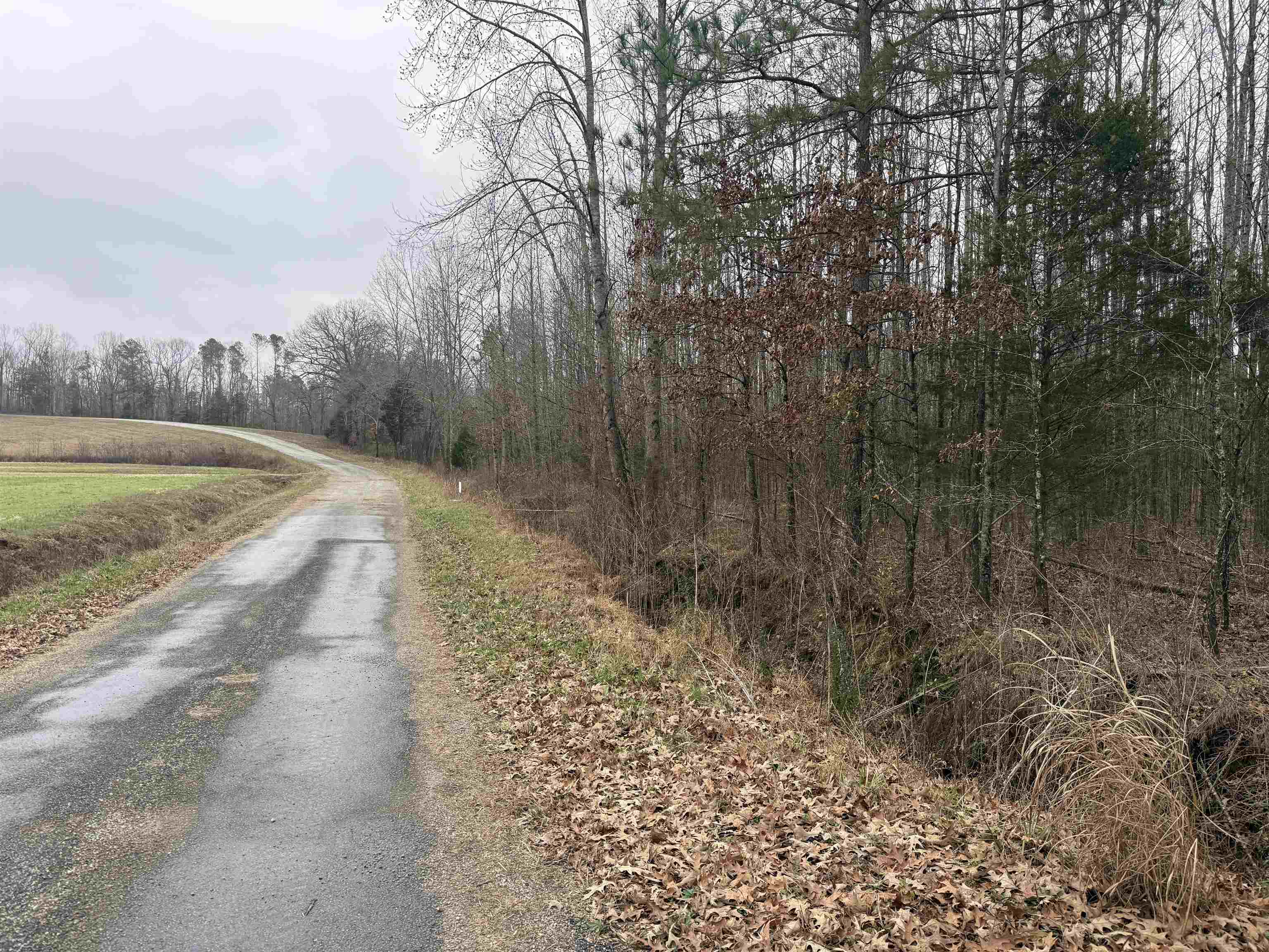 000 Spring Hill Cemetery Rd Rd Property Photo 15
