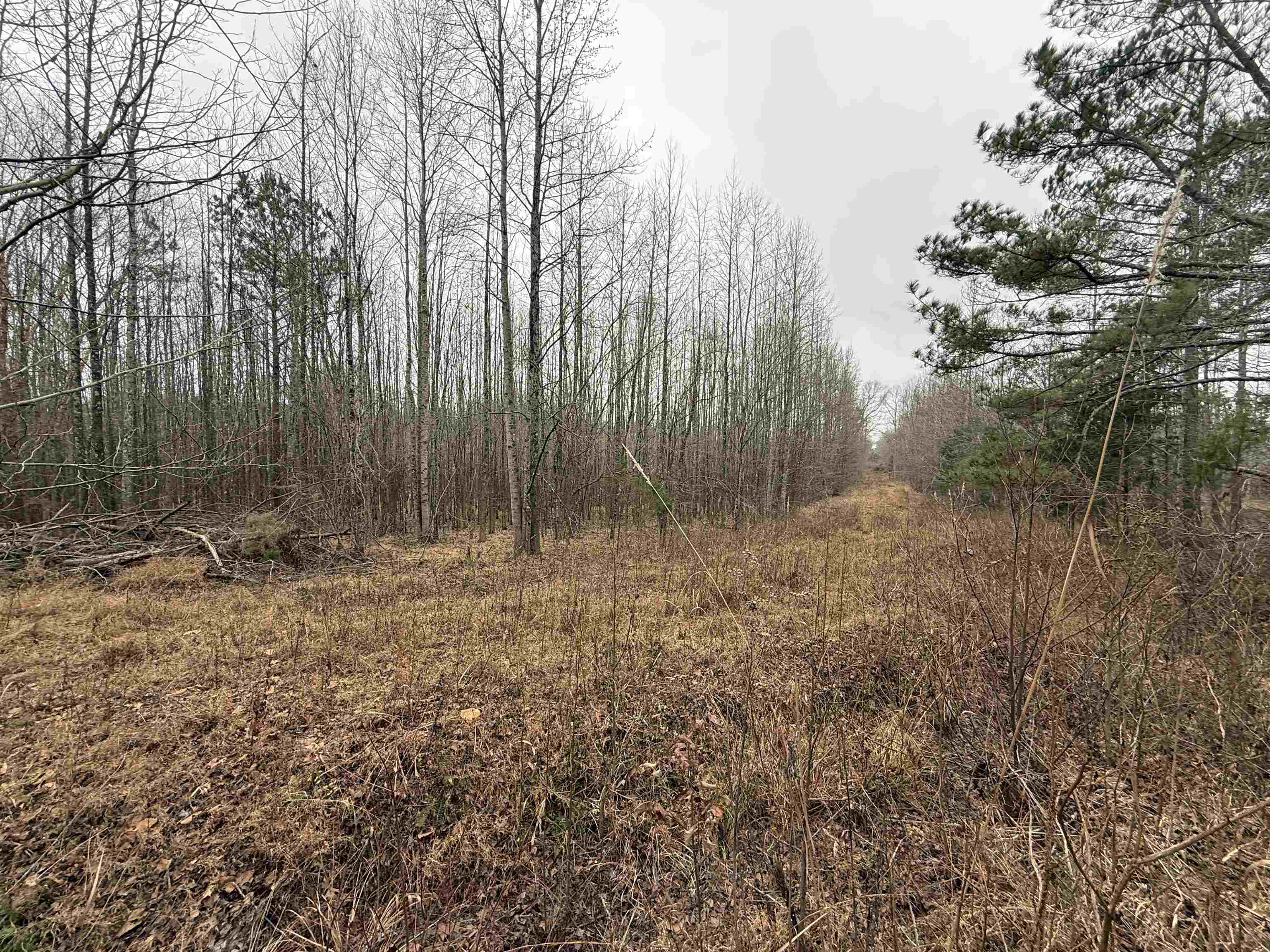 000 Spring Hill Cemetery Rd Rd Property Photo 16