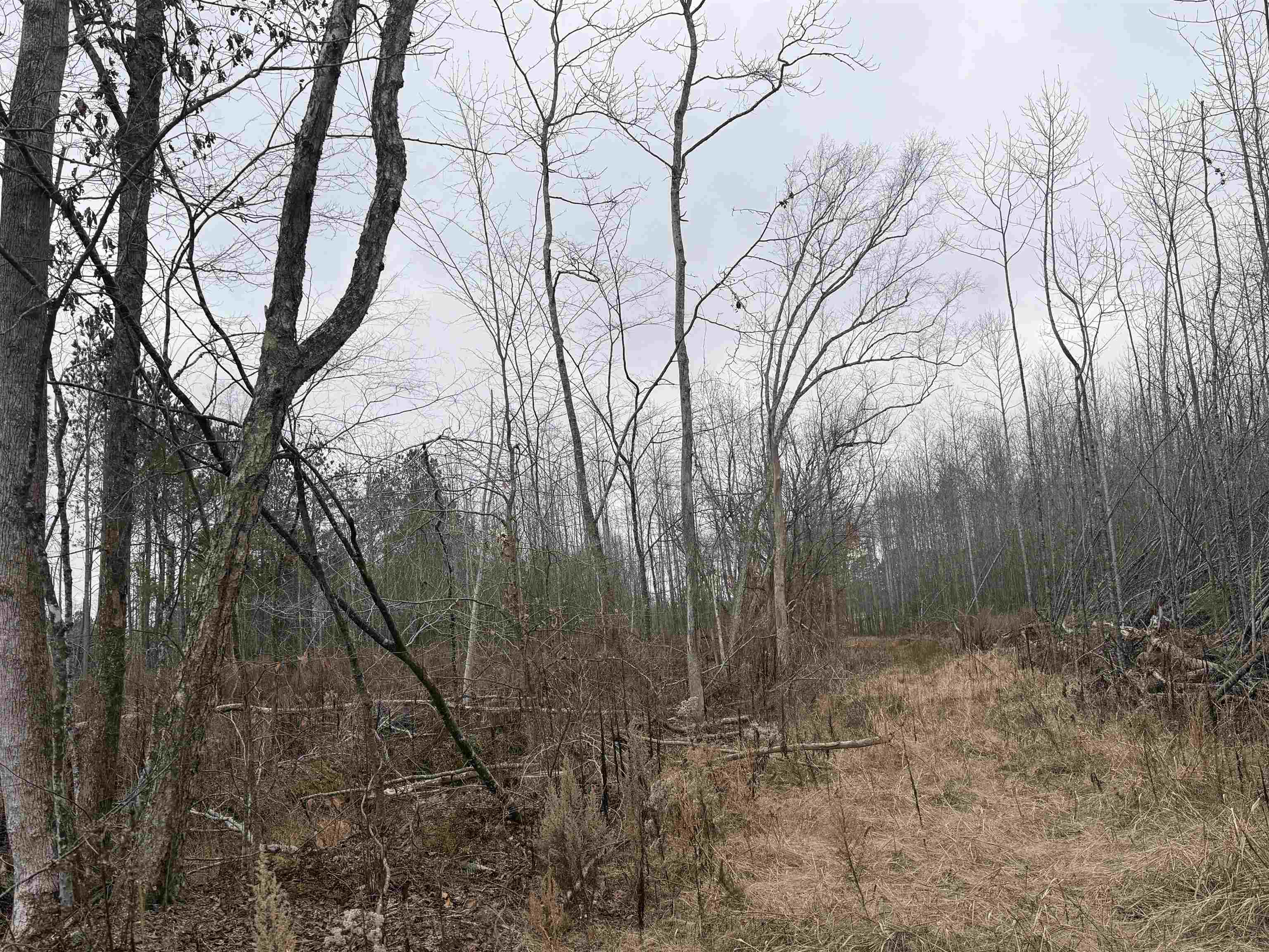 000 Spring Hill Cemetery Rd Rd Property Photo 17