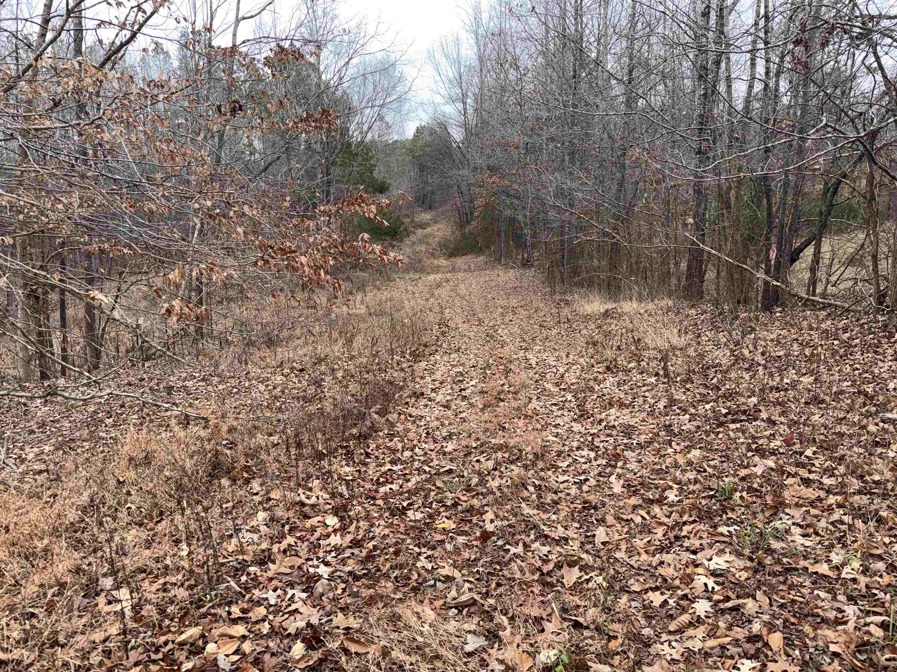 000 Spring Hill Cemetery Rd Rd Property Photo 18