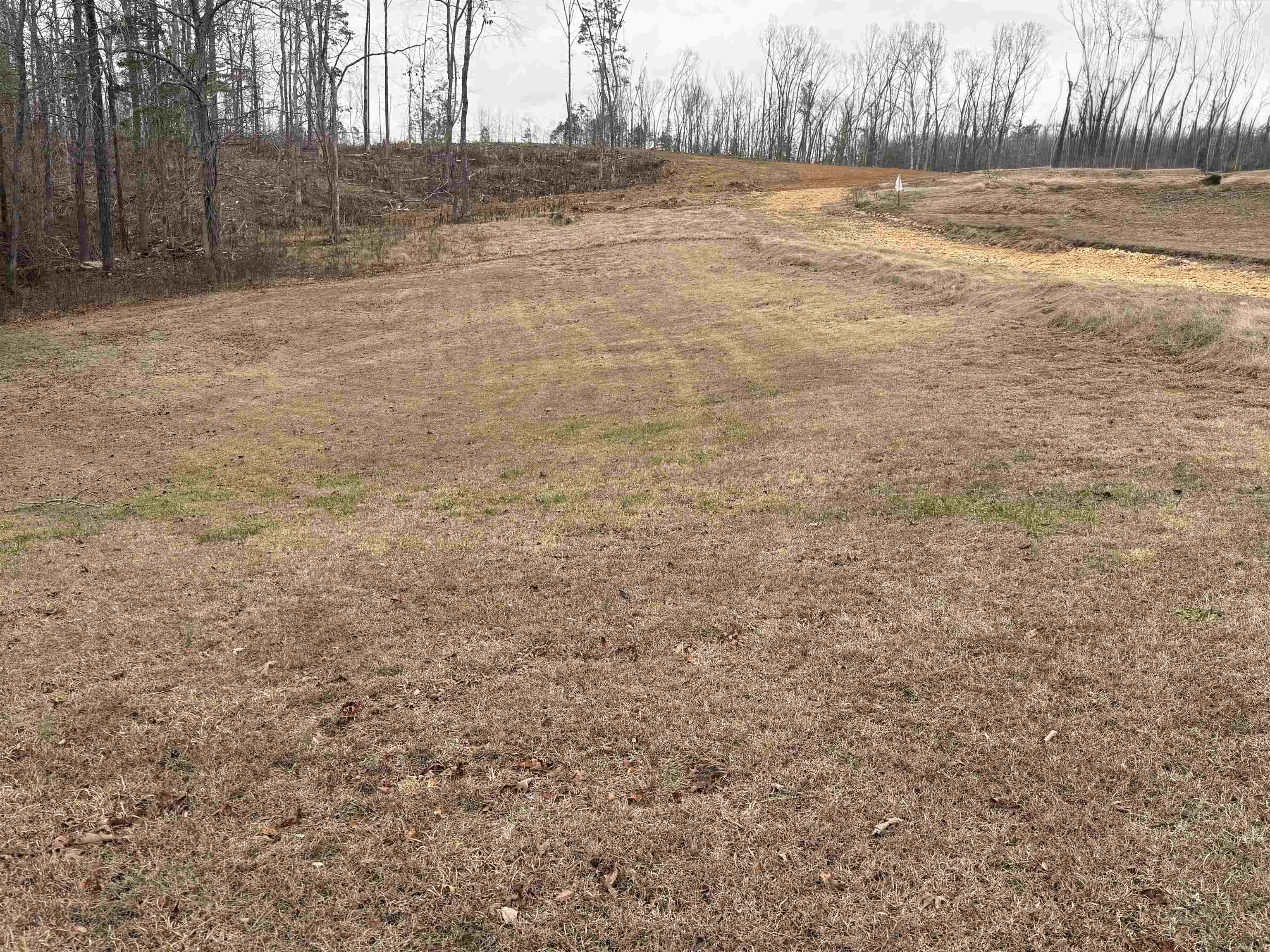 000 Spring Hill Cemetery Rd Rd Property Photo 20