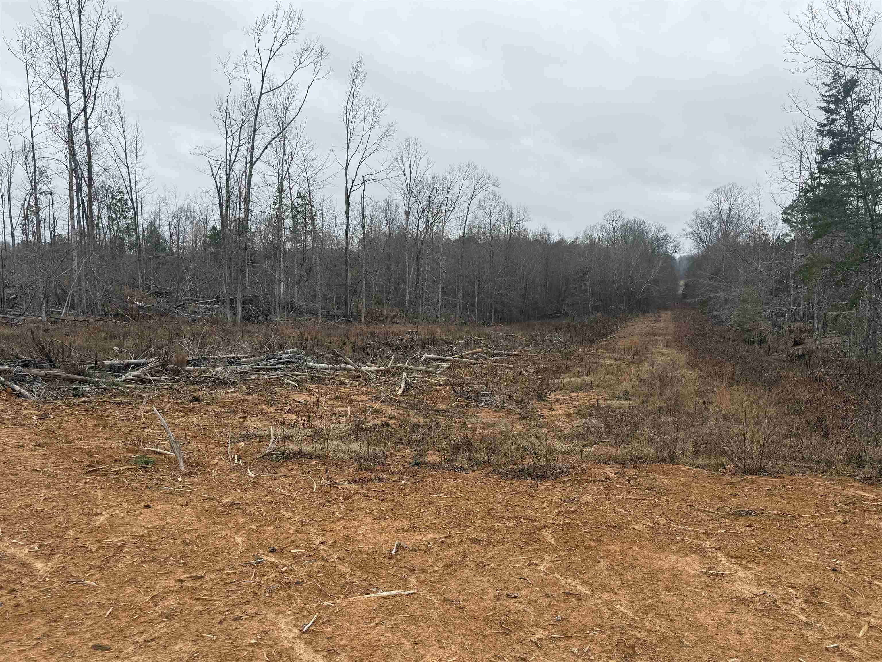 000 Spring Hill Cemetery Rd Rd Property Photo 22