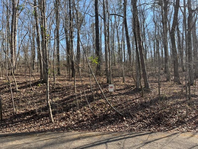 Lot 16 Moss Trl Property Photo 1
