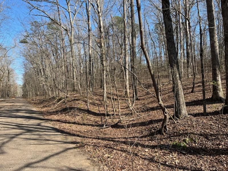 Lot 16 Moss Trl Property Photo 2