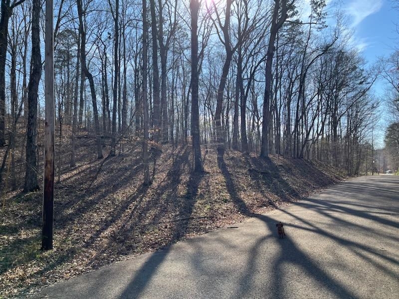 Lot 16 Moss Trl Property Photo 3
