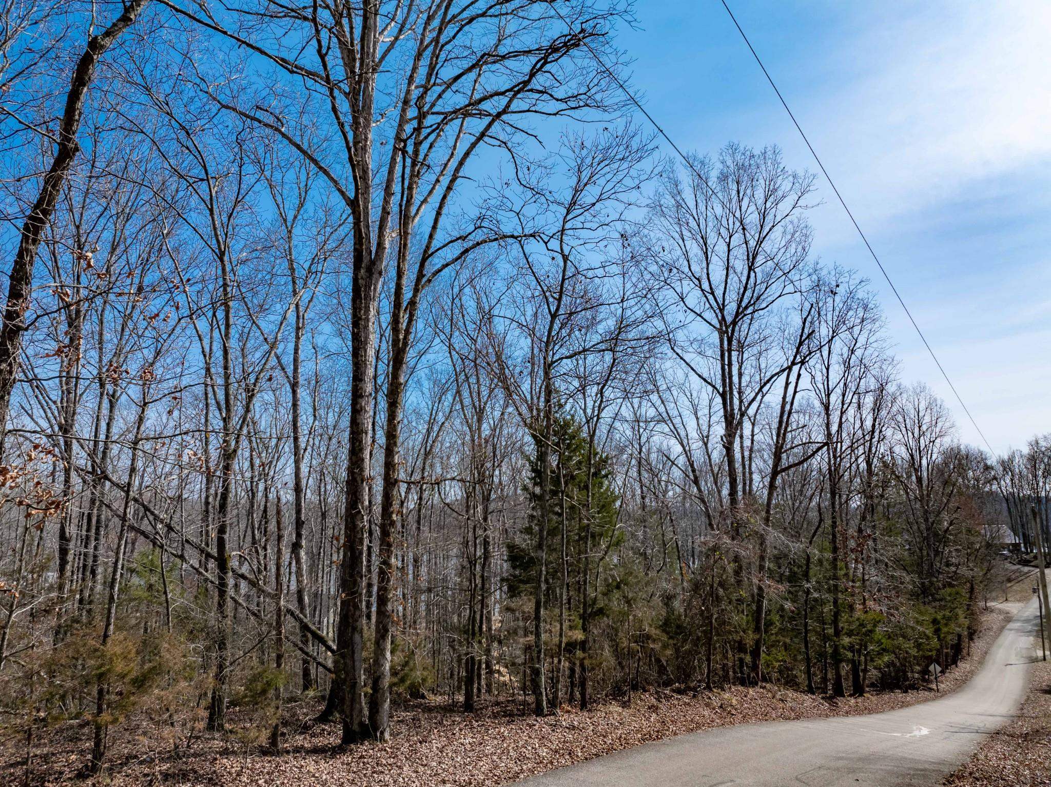 Lot 402 Fawn Ridge Rd Property Photo 2