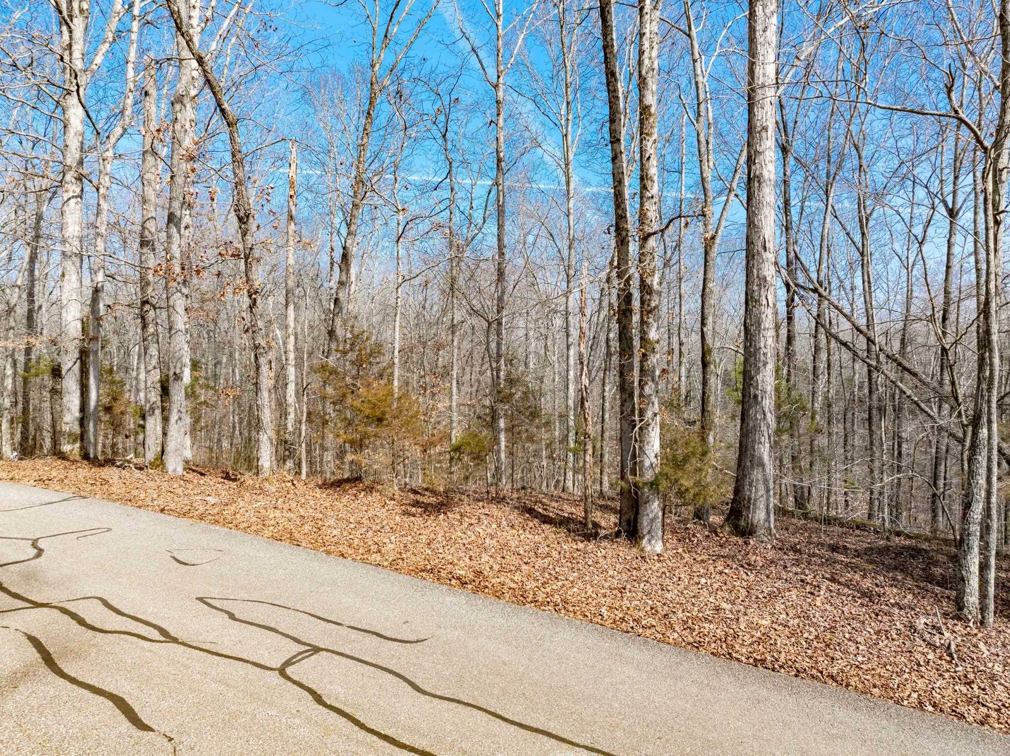 Lot 402 Fawn Ridge Rd Property Photo 4