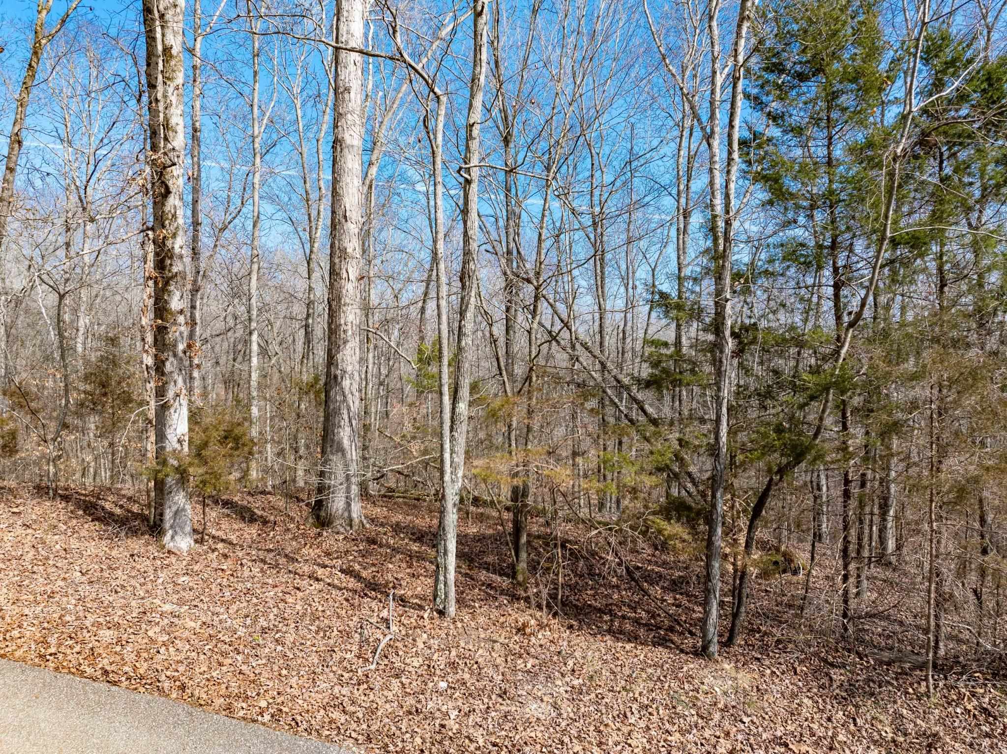 Lot 402 Fawn Ridge Rd Property Photo 6