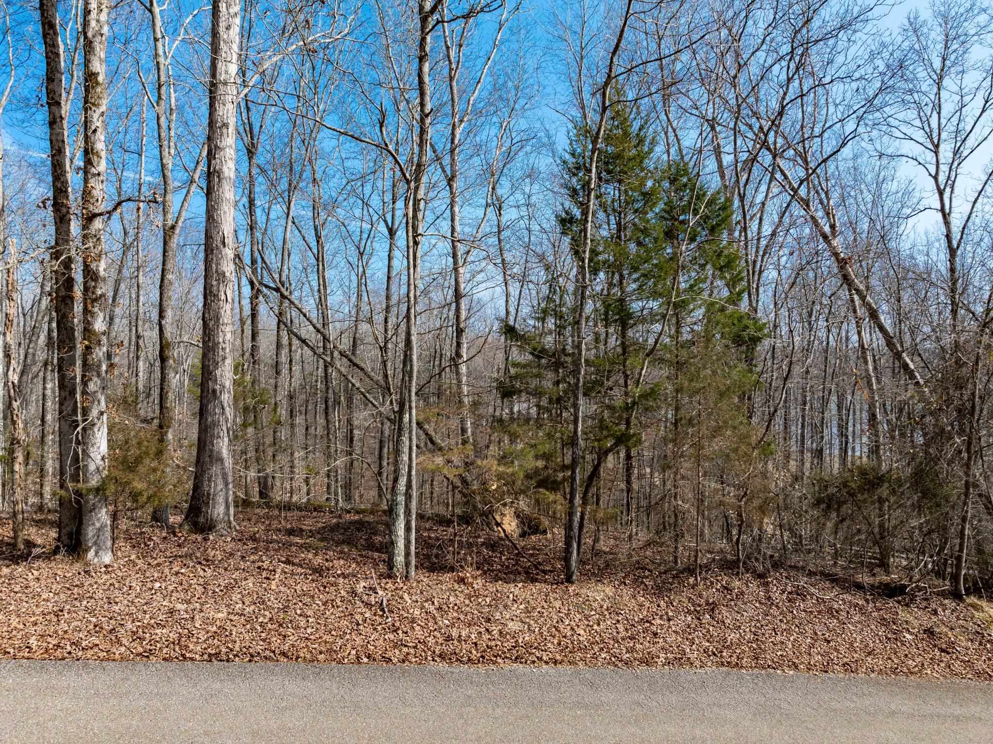 Lot 402 Fawn Ridge Rd Property Photo 7
