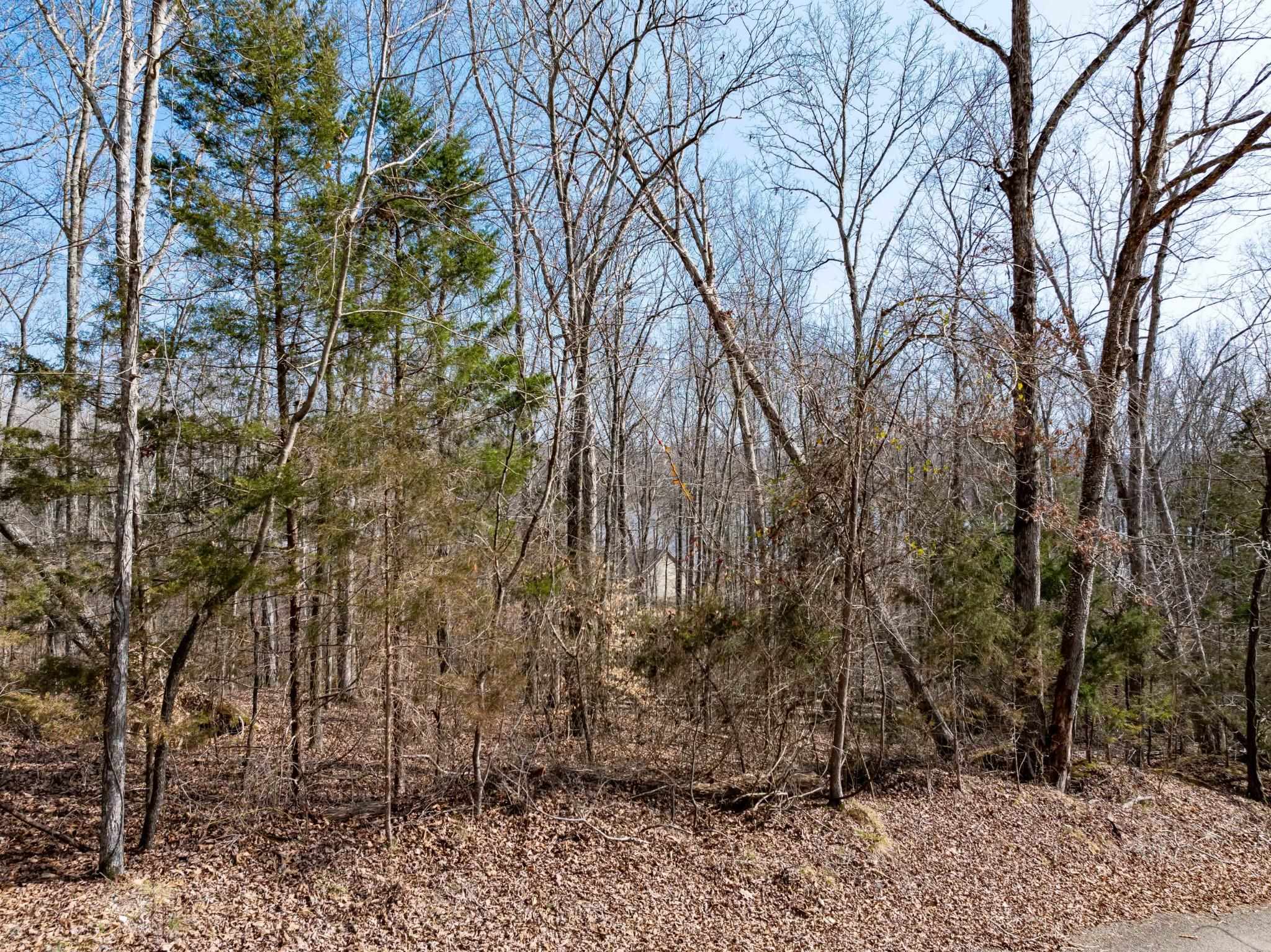 Lot 402 Fawn Ridge Rd Property Photo 8