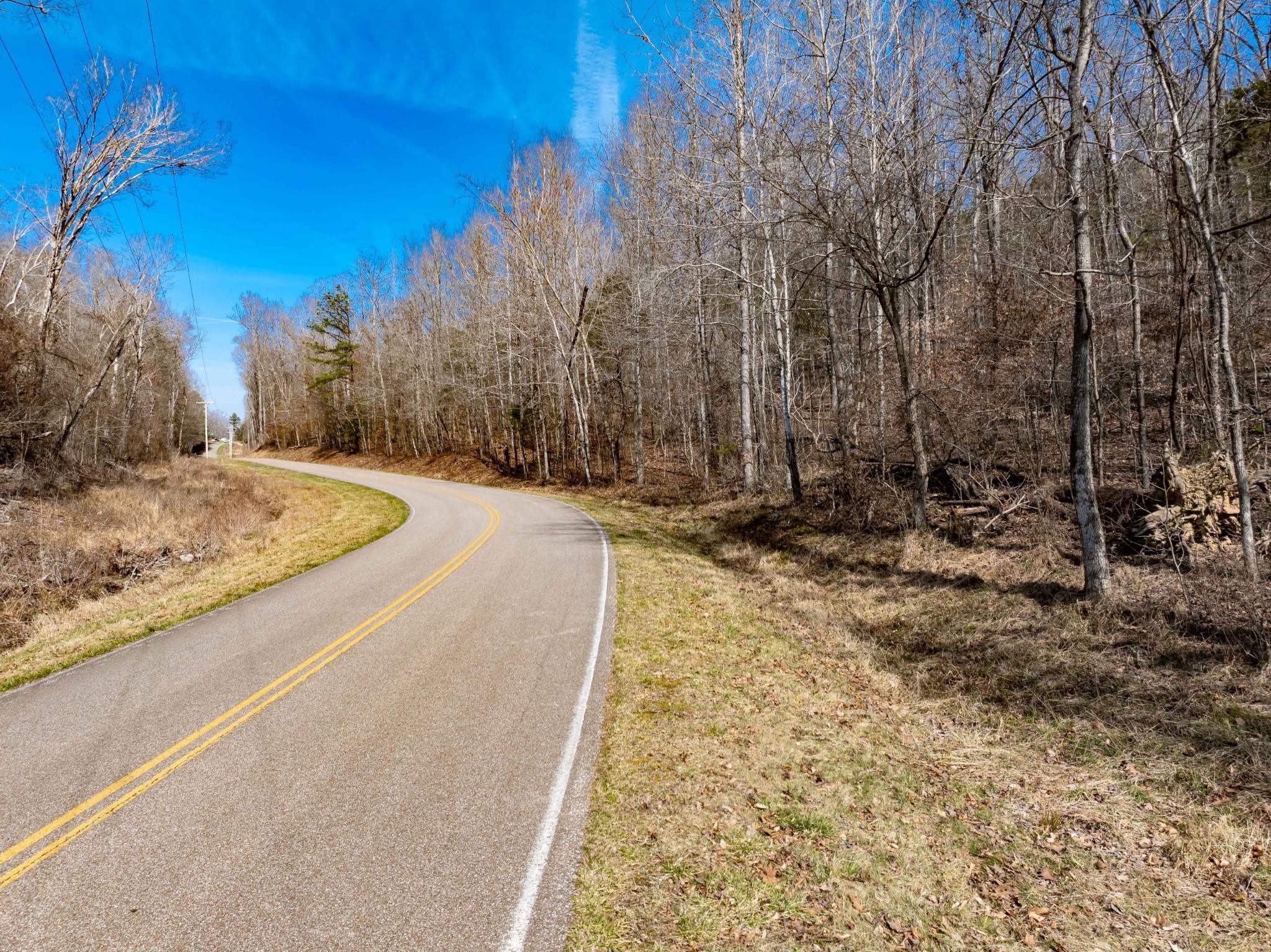 Lot 184 Deer Hollow Dr Property Photo 5