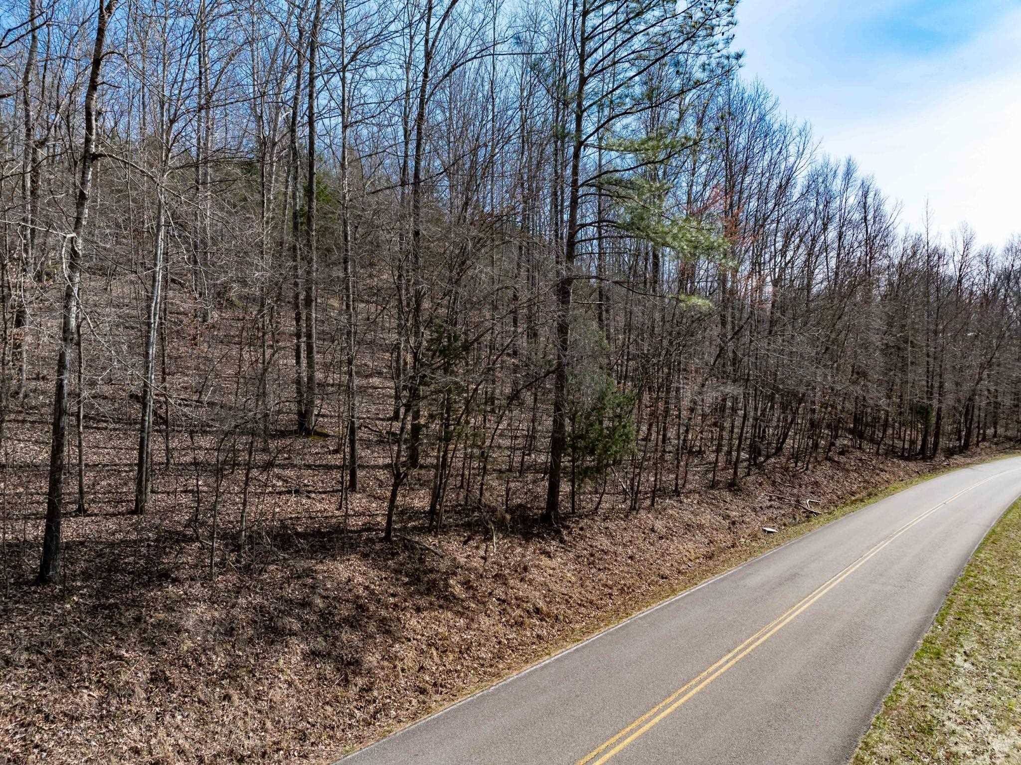 Lot 184 Deer Hollow Dr Property Photo 9